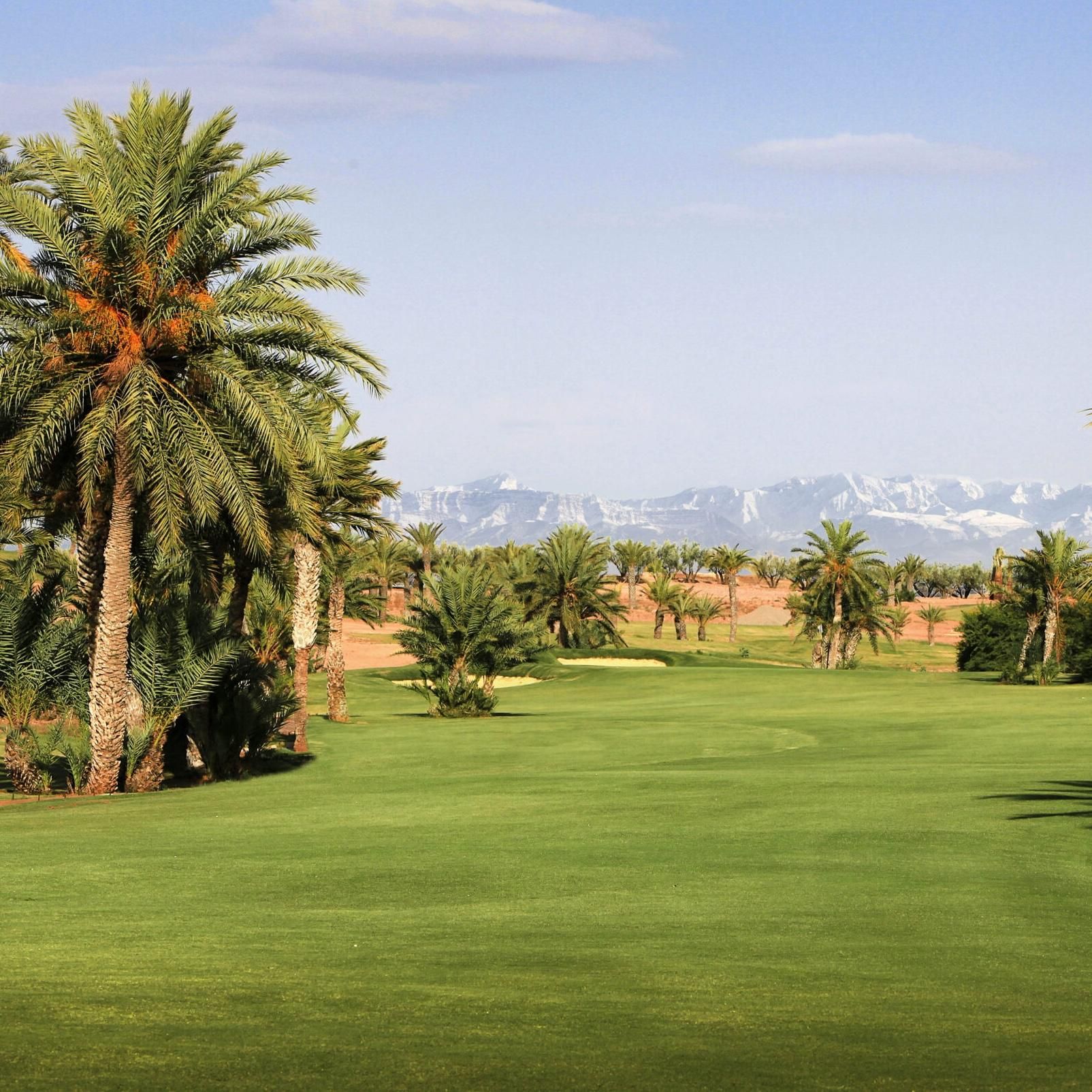 Assoufid Golf Club 6