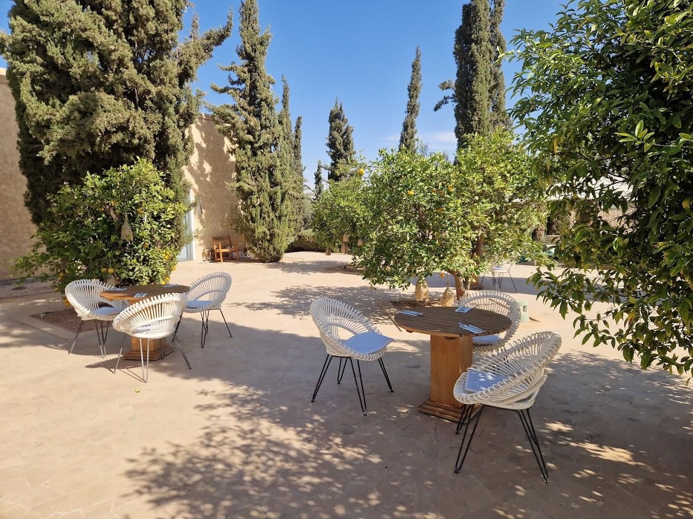 Assoufid Golf Club 10