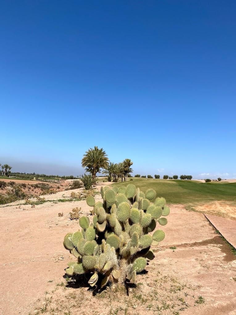 Assoufid Golf Club 14