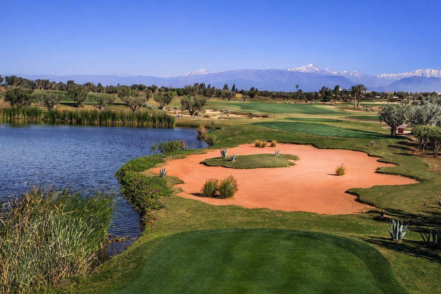 Royal Palm Golf & Country Club 6