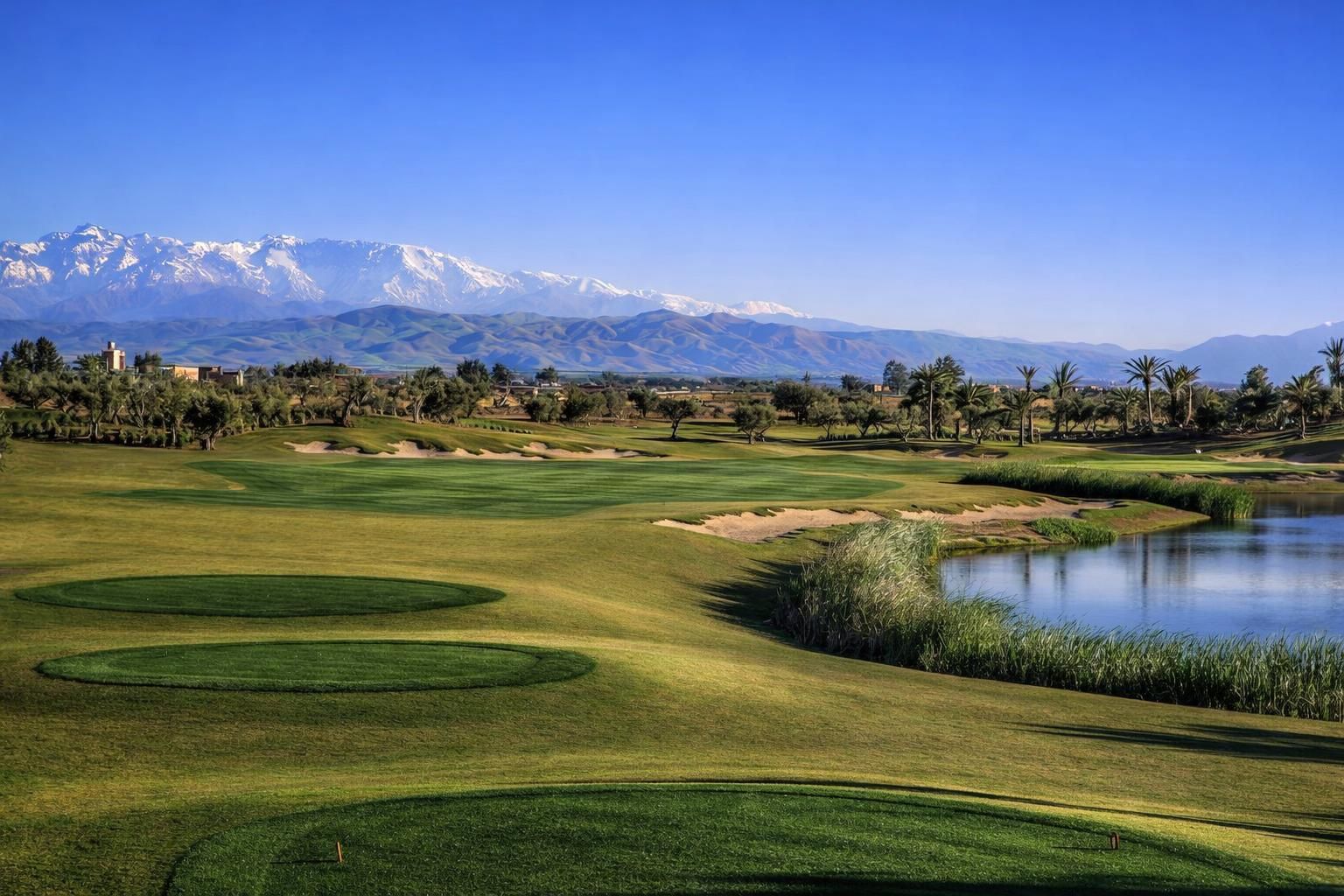 Royal Palm Golf & Country Club 7