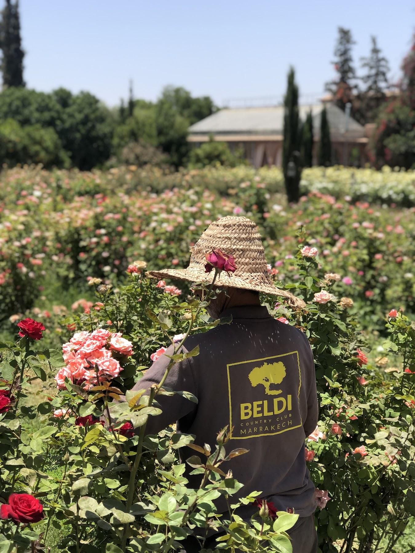 Beldi Country Club 4