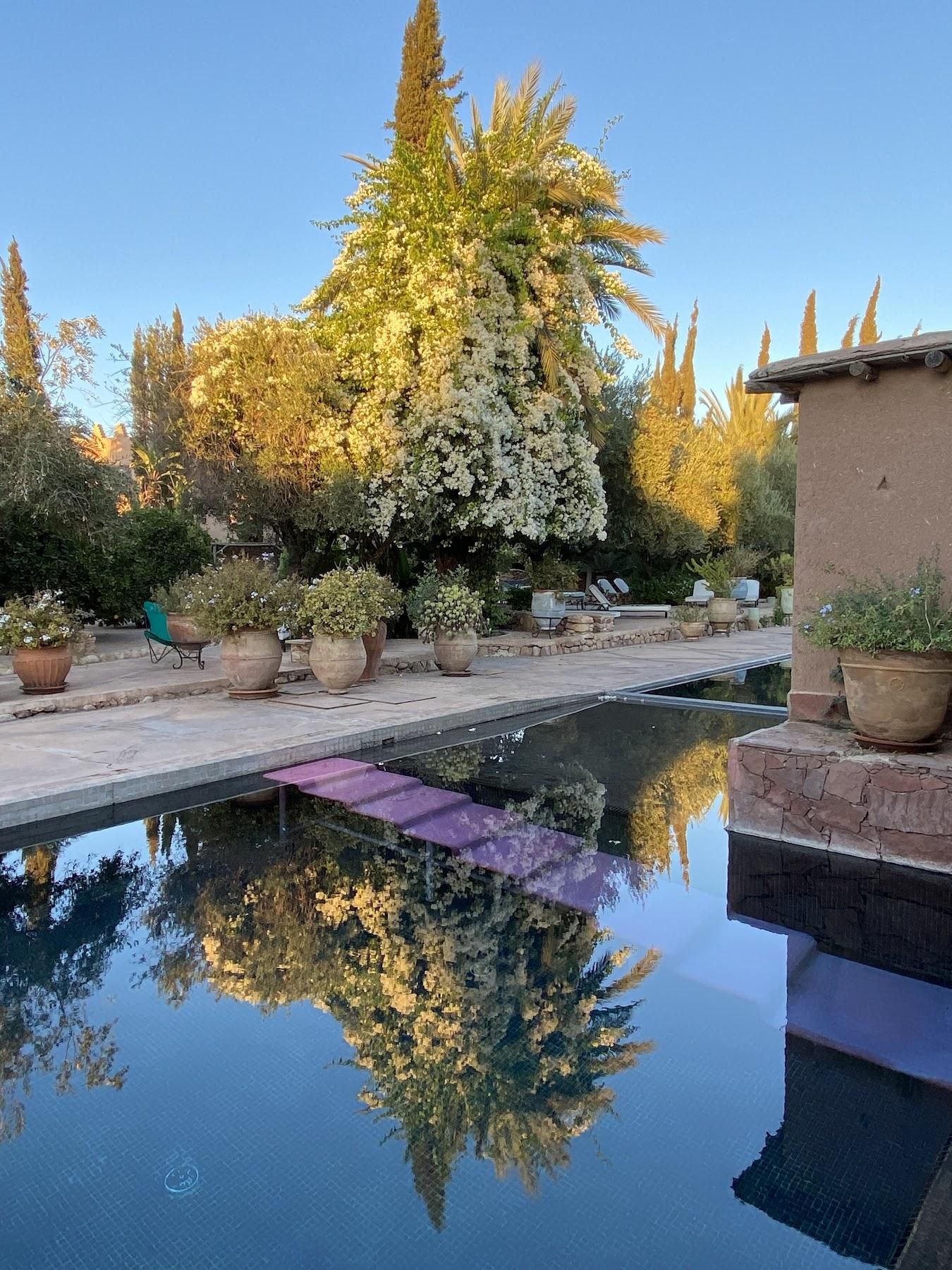 Beldi Country Club 9