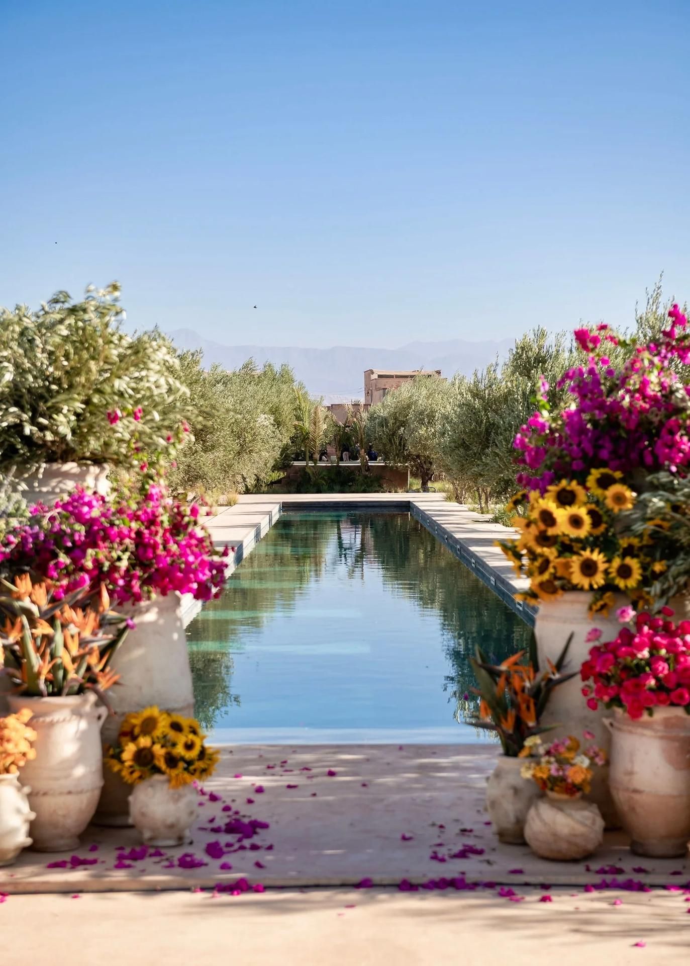 Farasha Farmhouse 22