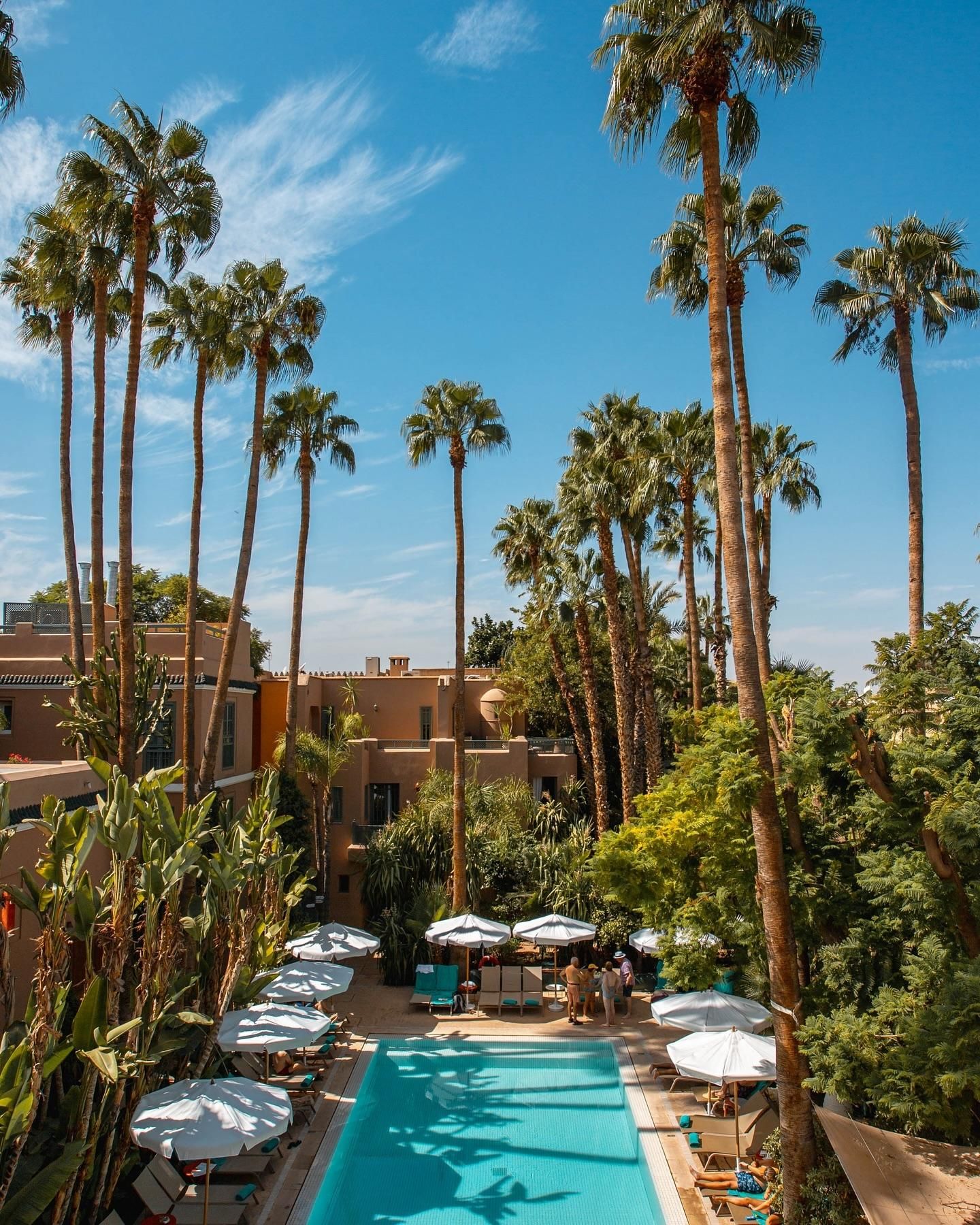 Les Jardins de la Medina 14