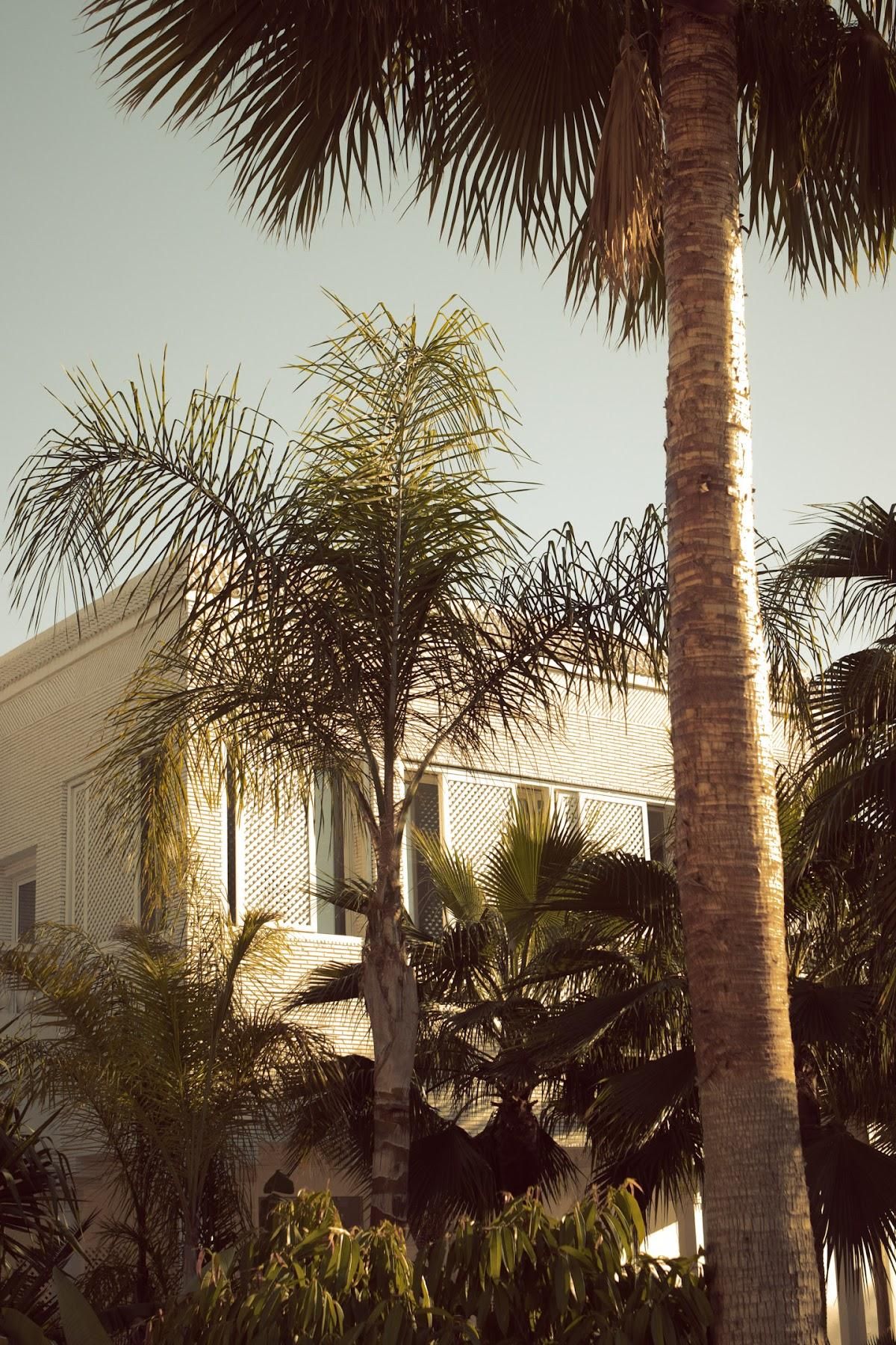 Les Palmiers Boutique Hôtel & Spa 11