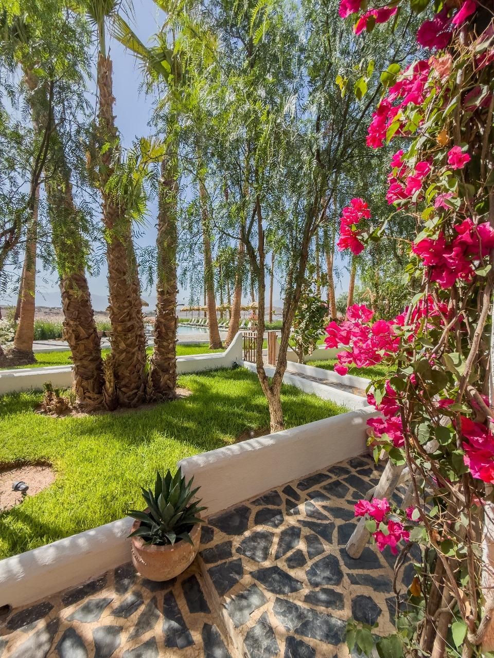 Pure House On The Lake 13