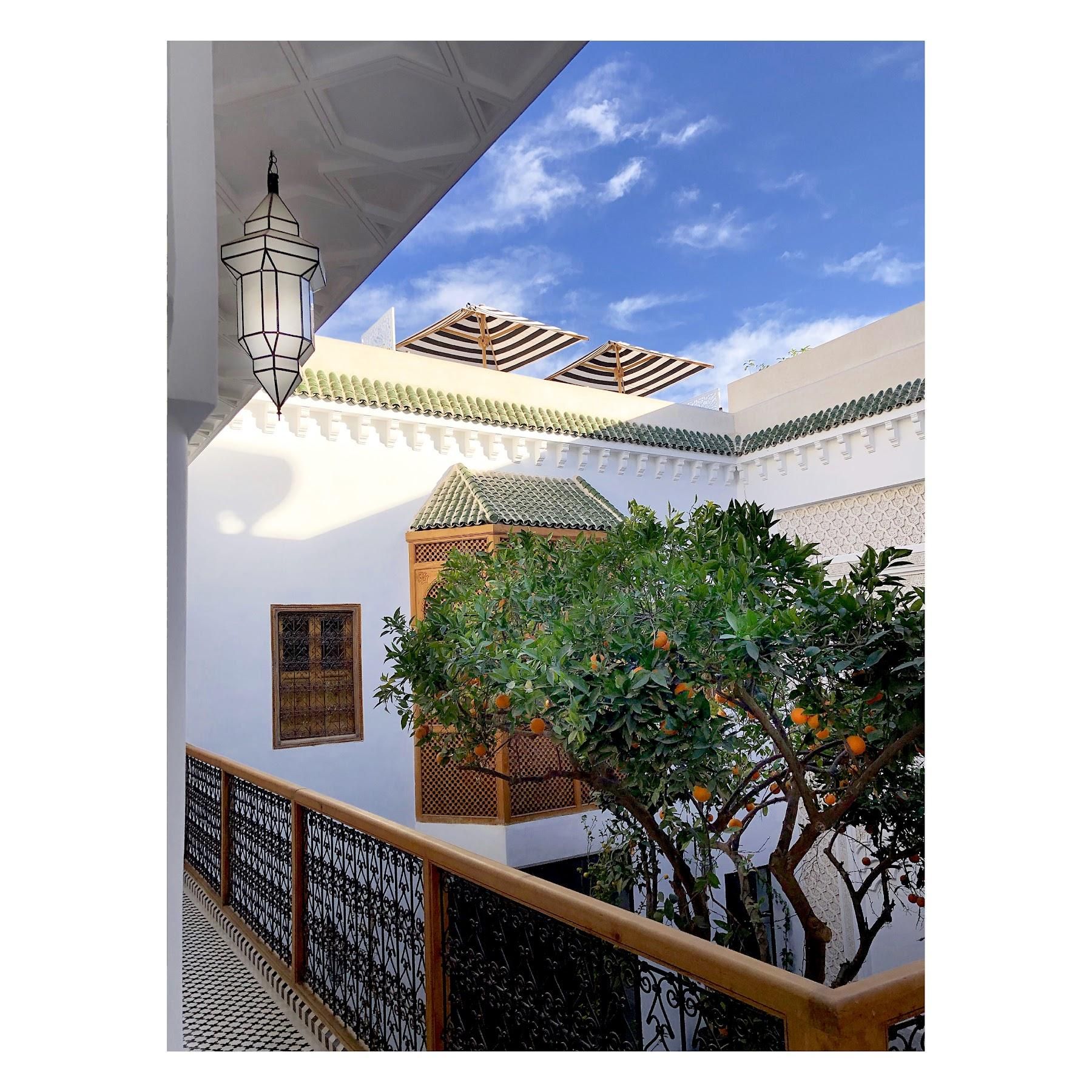 Riad Botanica 10