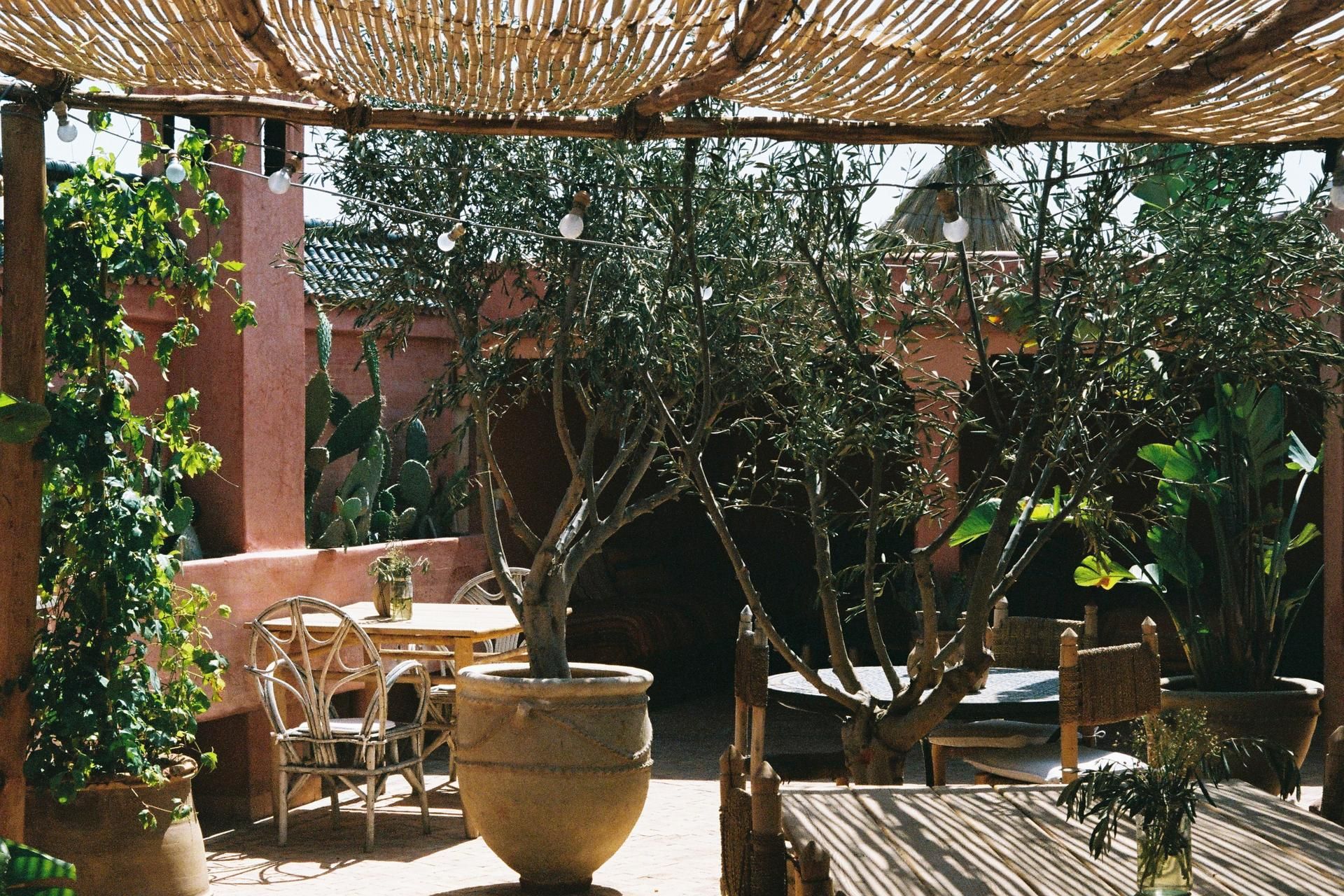 Riad Jardin Secret 2