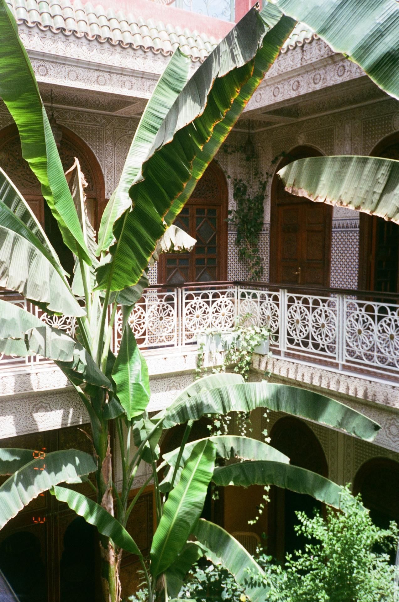 Riad Jardin Secret 5
