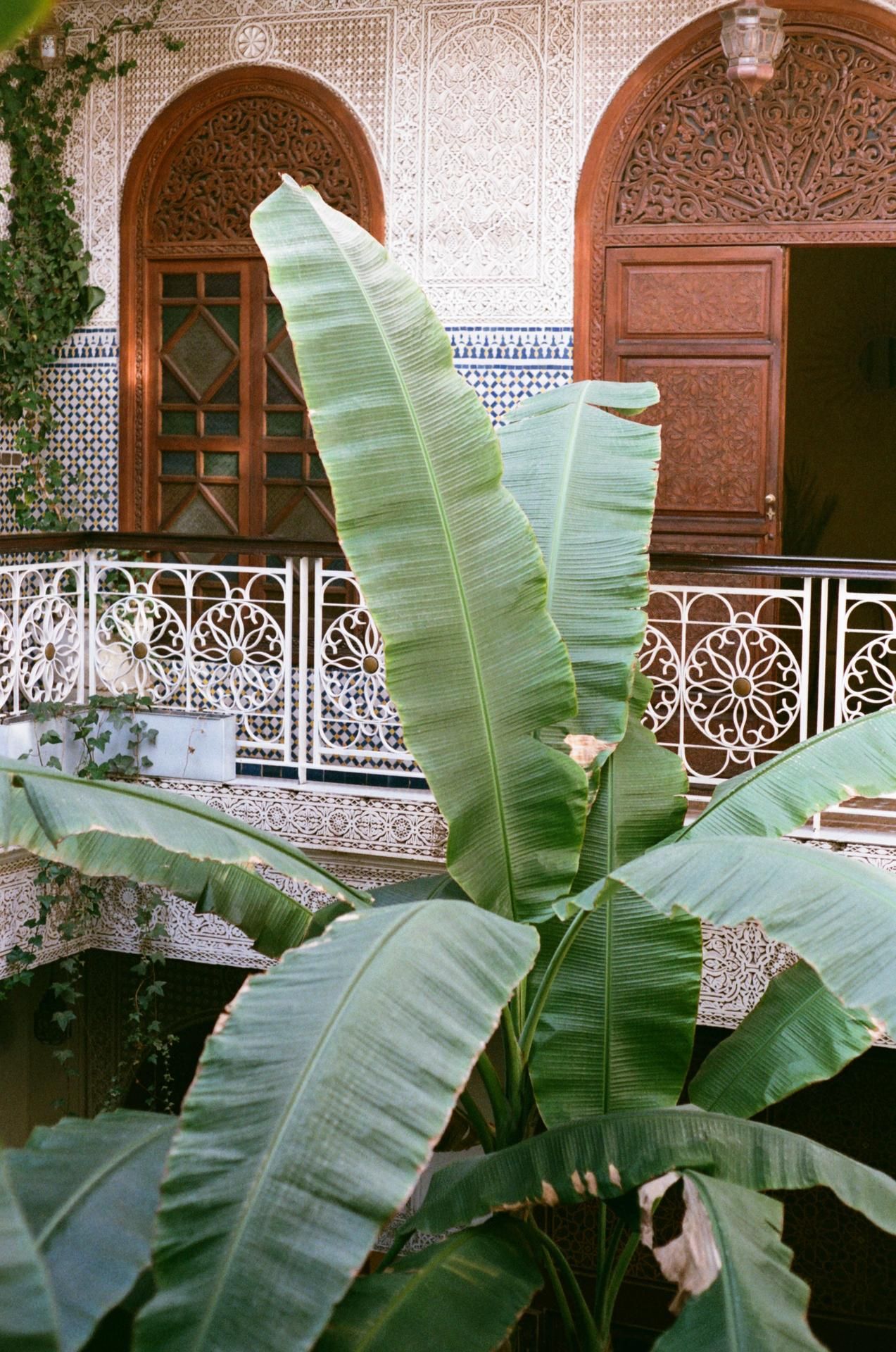 Riad Jardin Secret 7