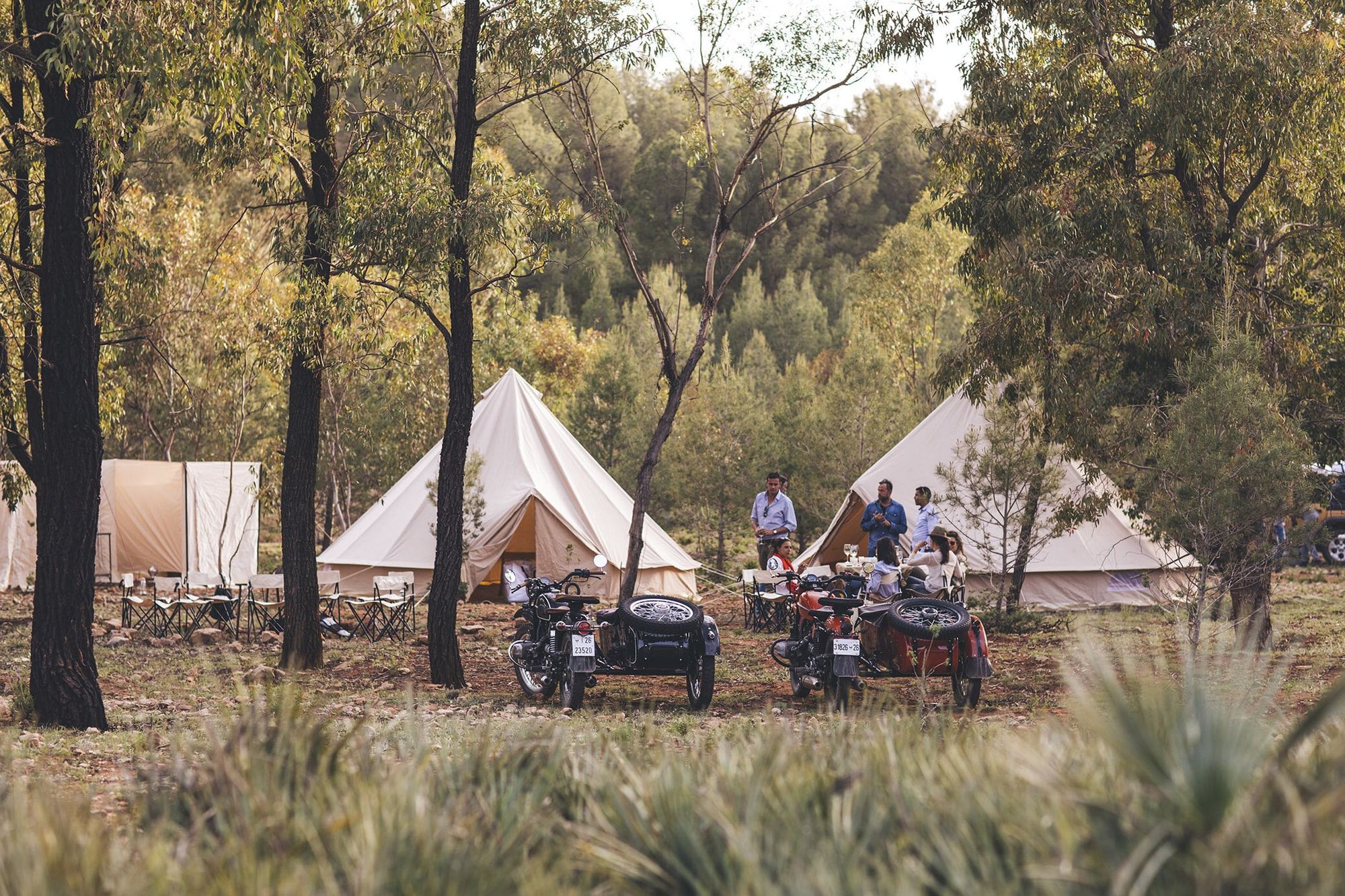 Scarabeo Camp 4