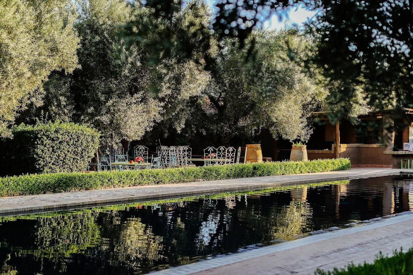 Beldi Country Club - Pool 8