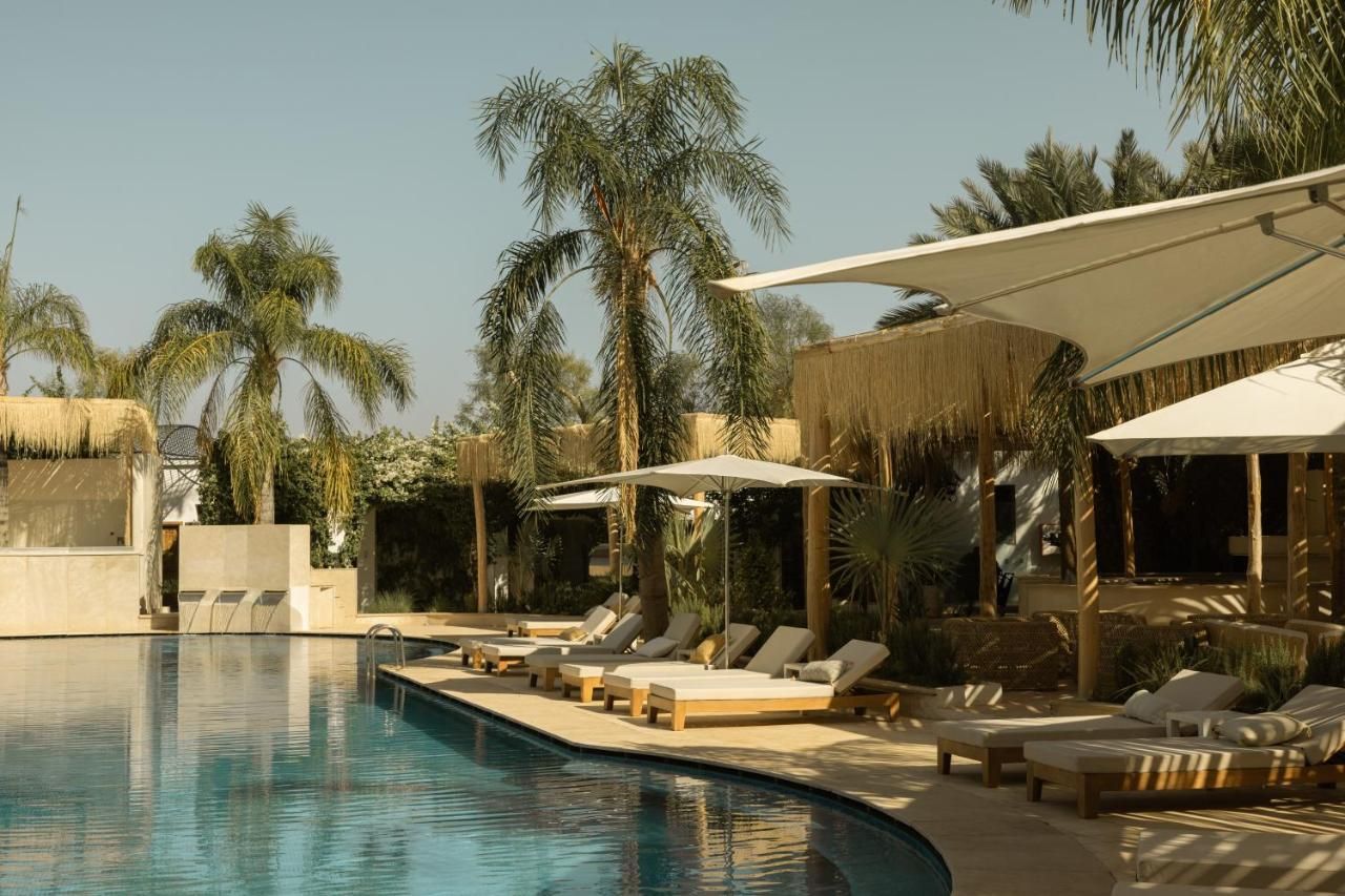 Les Palmiers - Pool 4