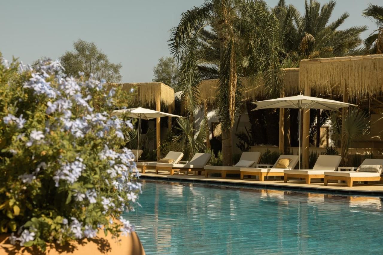 Les Palmiers - Pool 10