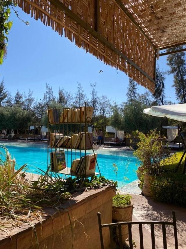 Manzil La Tortue - Pool 6