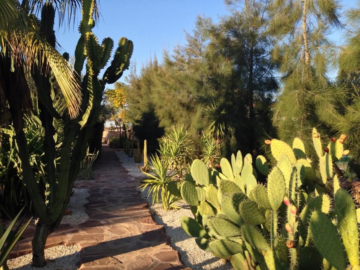 Manzil La Tortue - Pool 9