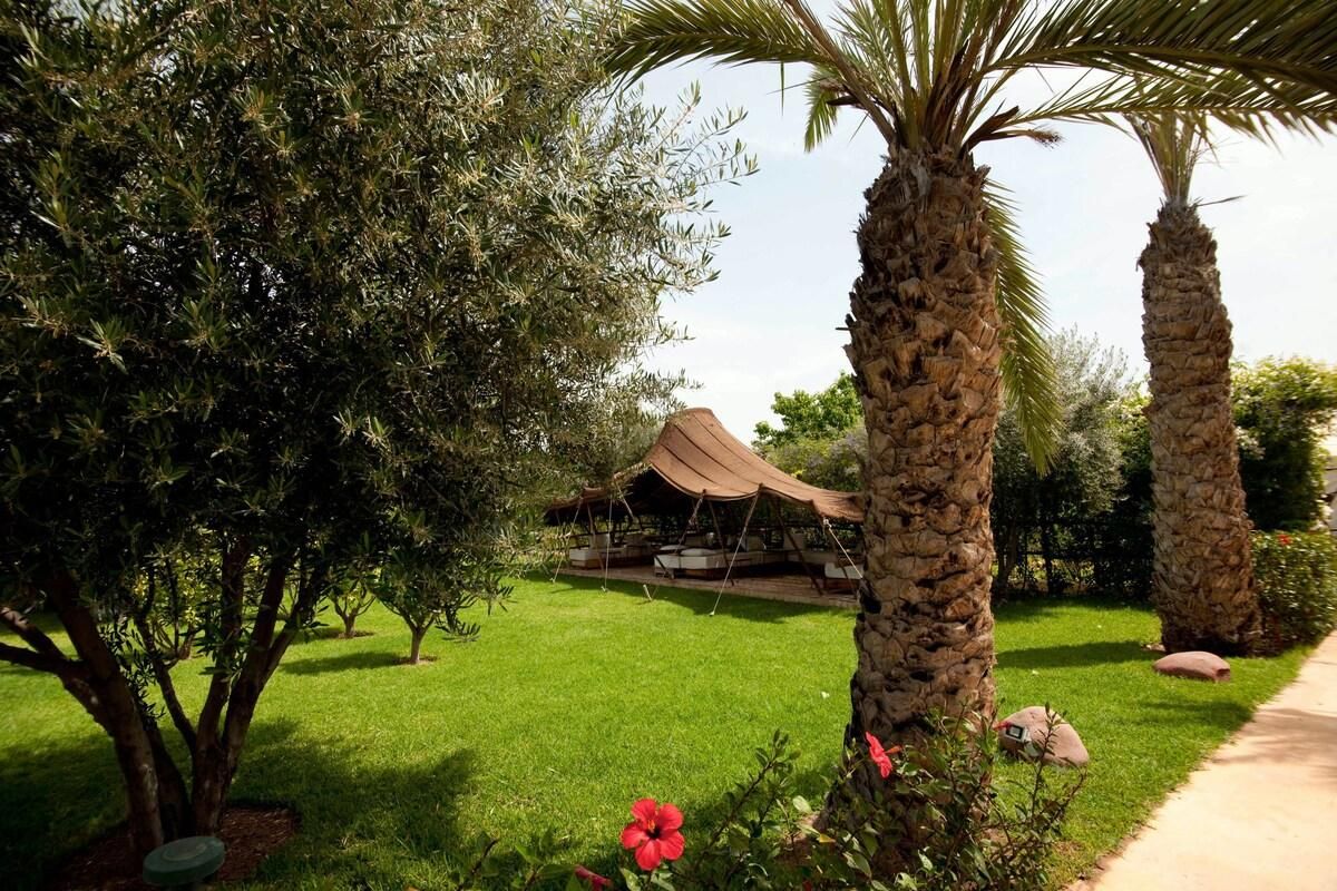 Manzil La Tortue - Pool 10