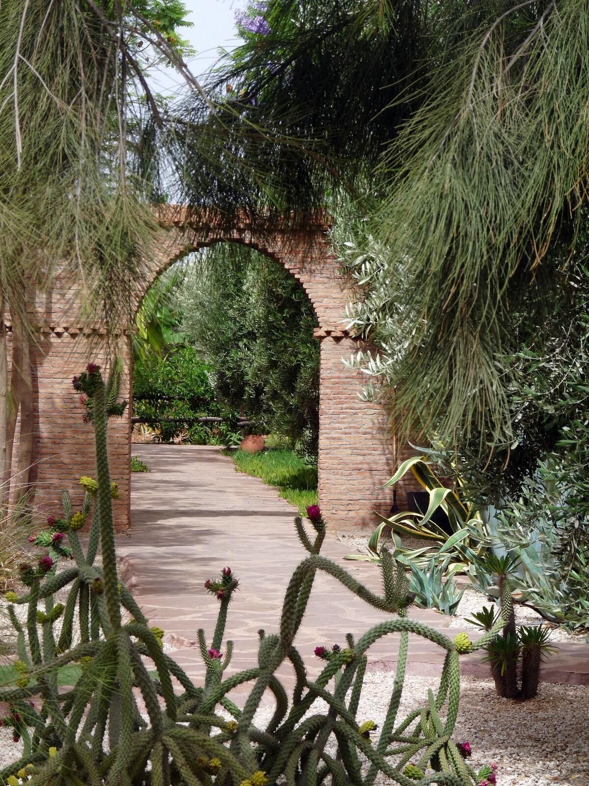 Manzil La Tortue - Pool 11