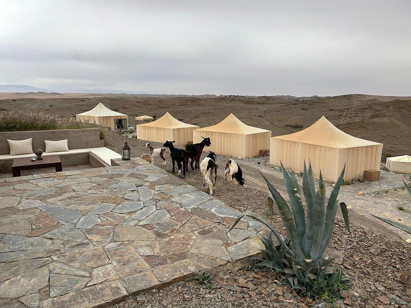 The White Camel Agafay - Pool 4