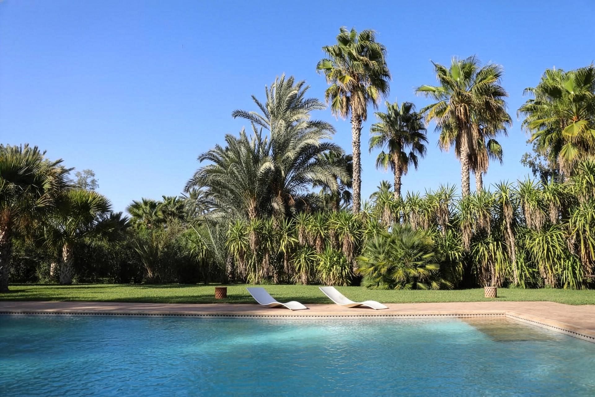 Villa Perroquet Bleu - Pool 1