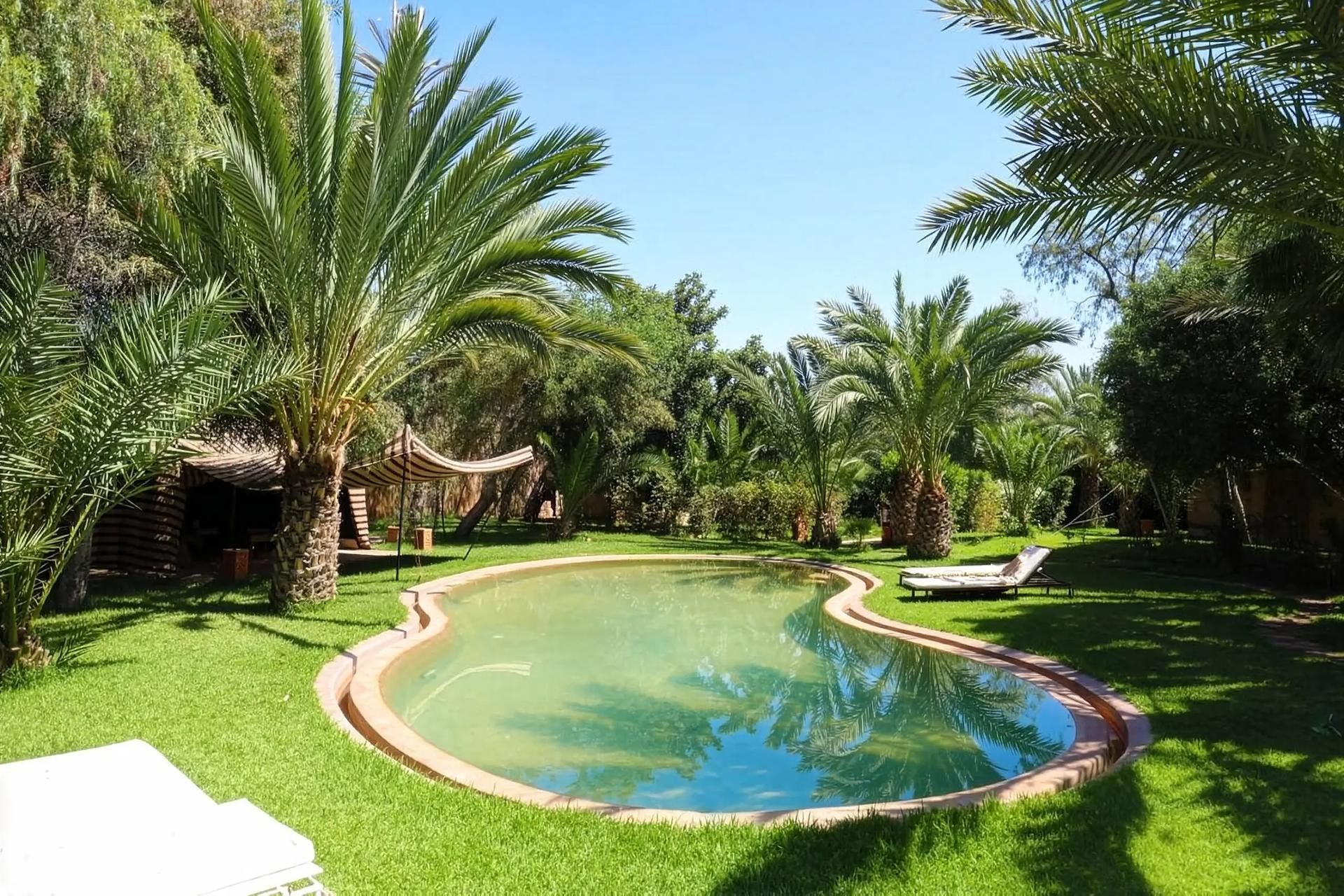 Villa Perroquet Bleu - Pool 3