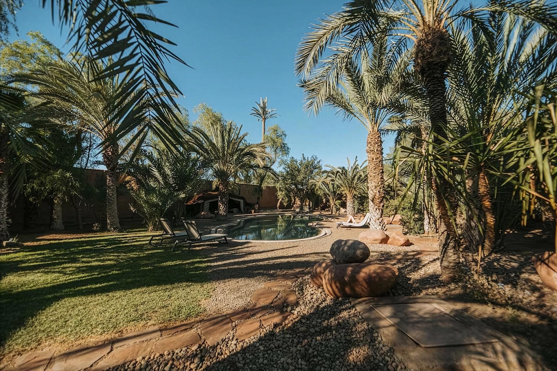 Villa Perroquet Bleu - Pool 7