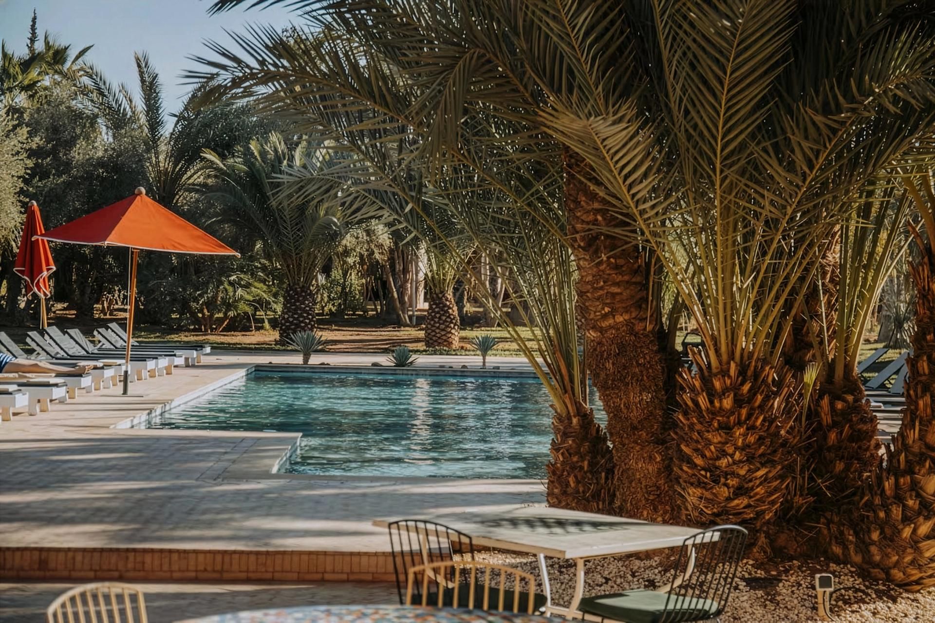 Villa Perroquet Bleu - Pool 11