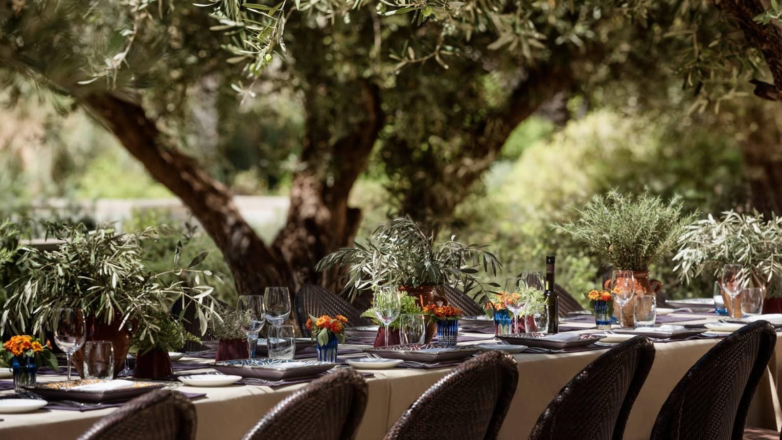 Azzera - Four Season 15