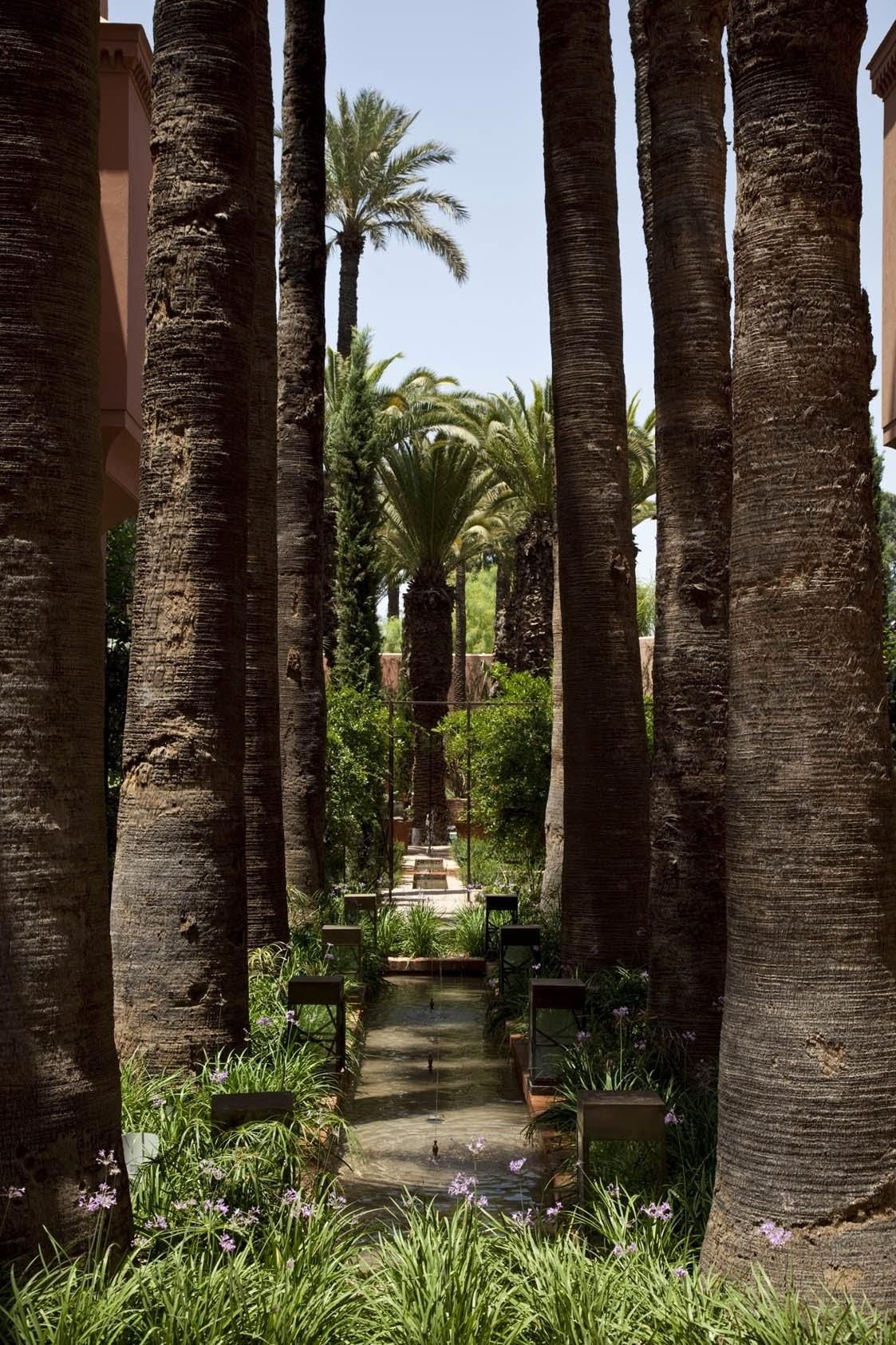 La Grande Brasserie - Royal Mansour 5