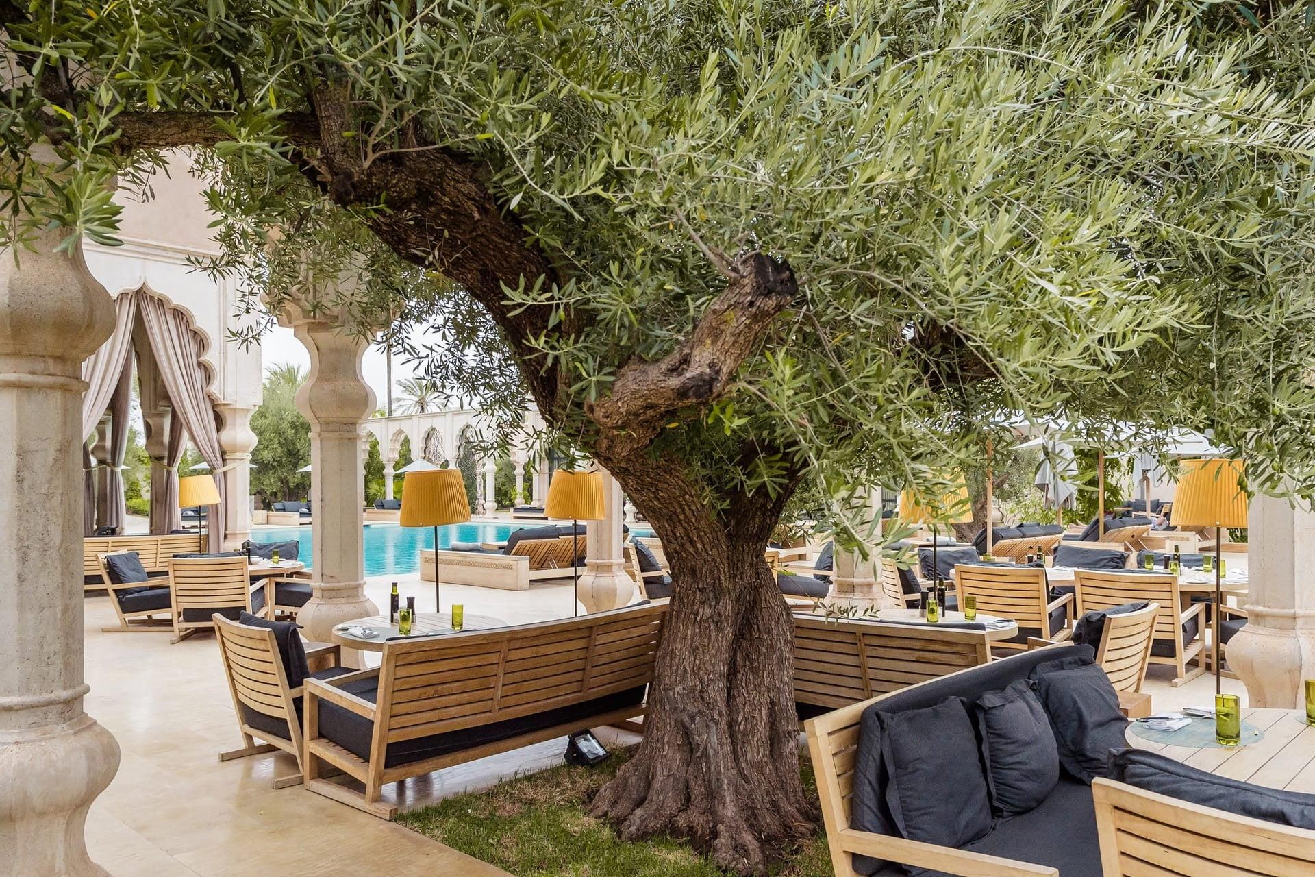 La Table - Palais Namaskar 3