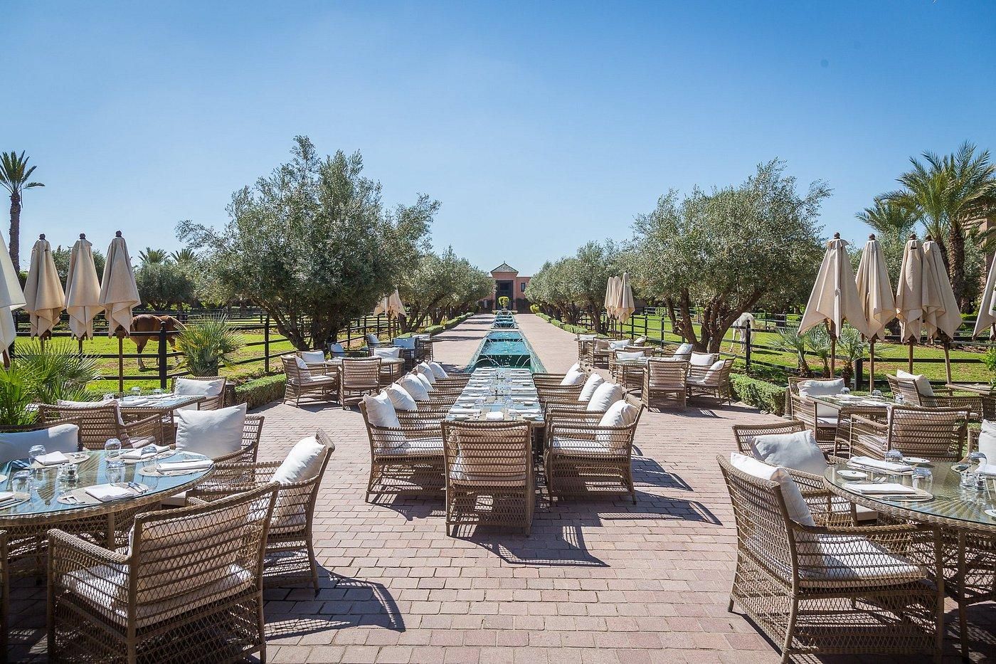 Le Brunch du Selman 2