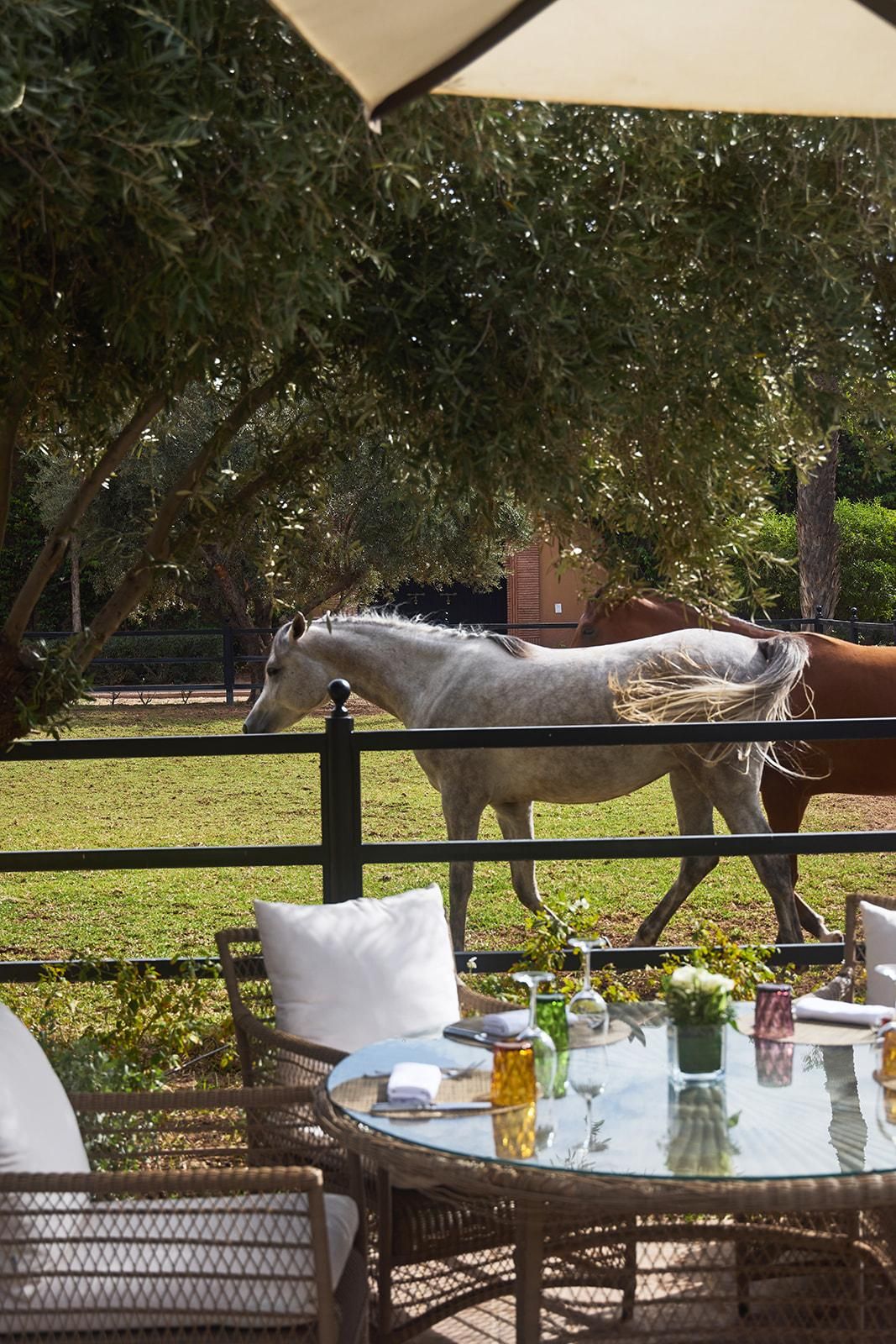 Le Brunch du Selman 1