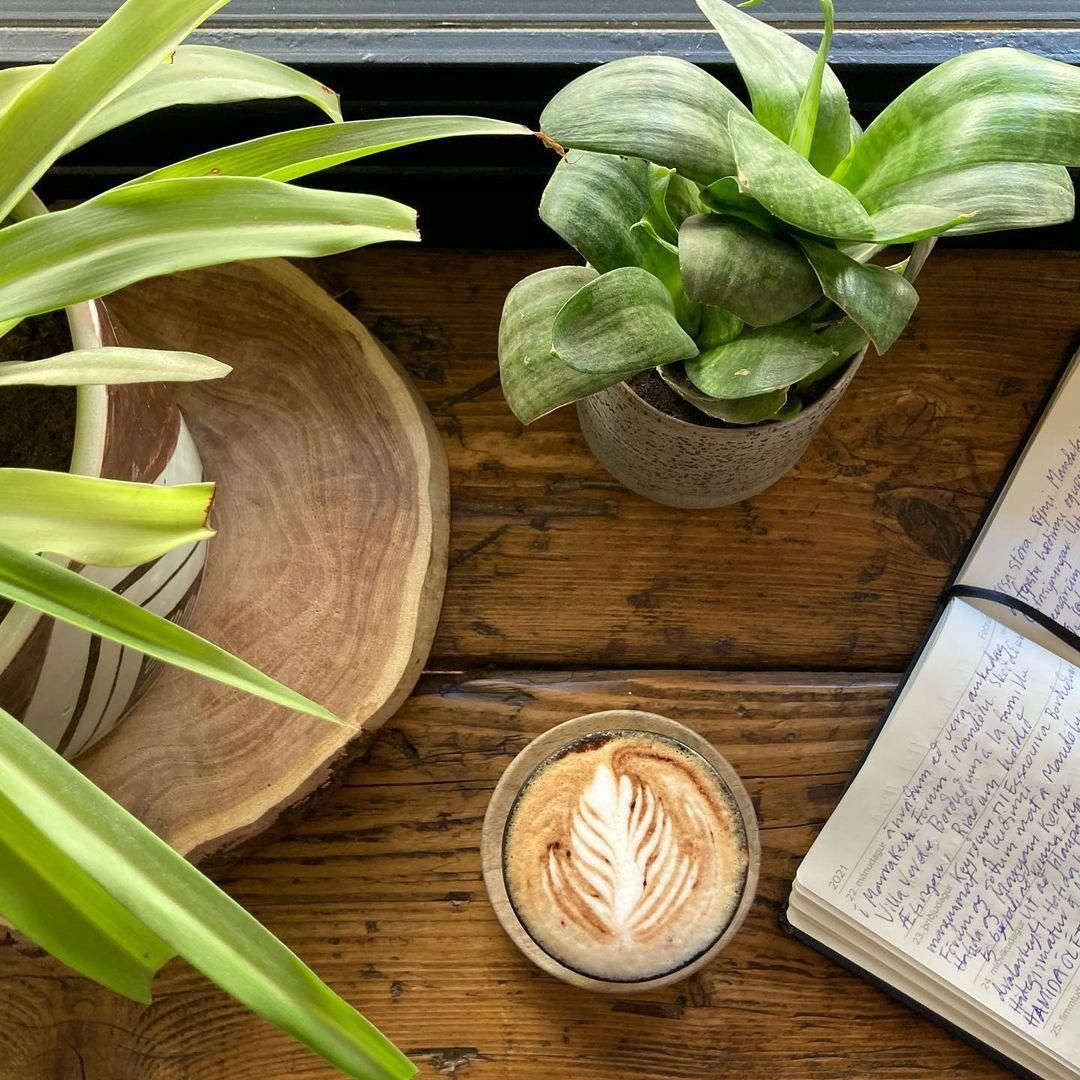 Mandala Society - Bahia 6