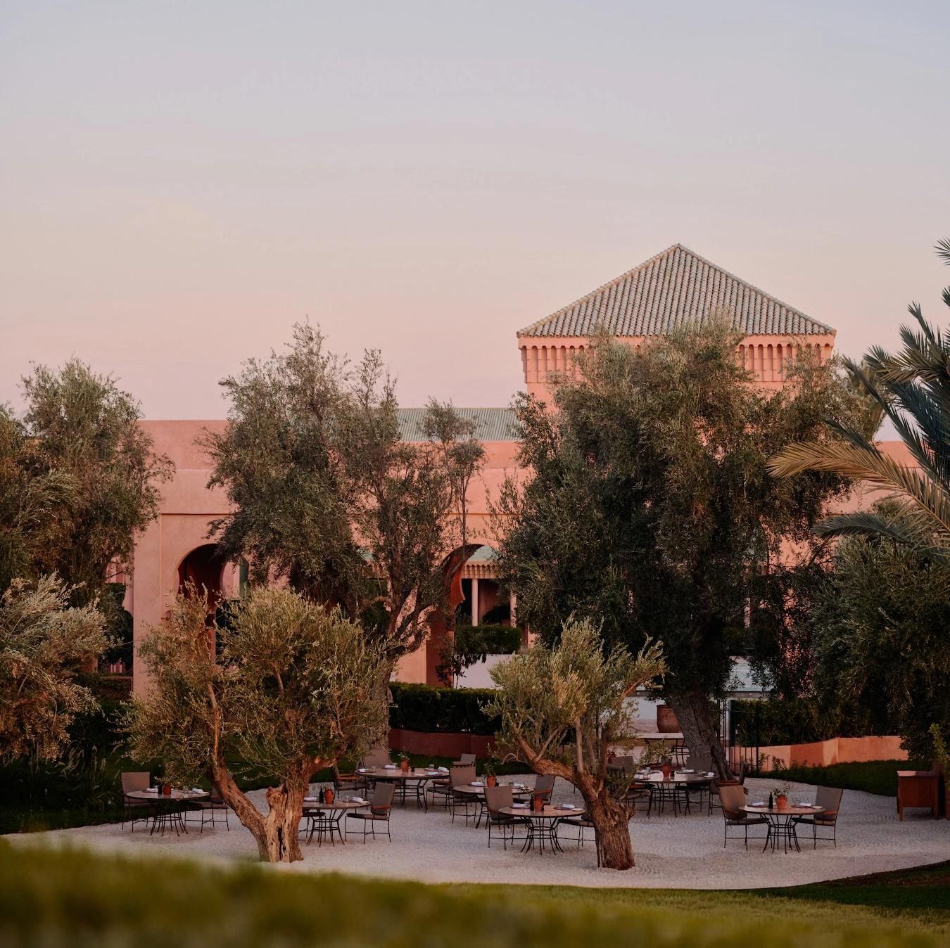 Pool Terrace & Olive Grove at Amanjena 1