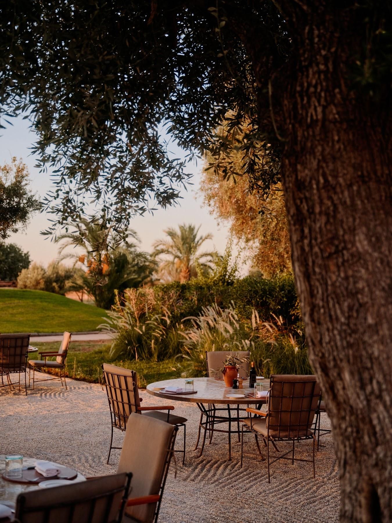 Pool Terrace & Olive Grove at Amanjena 3