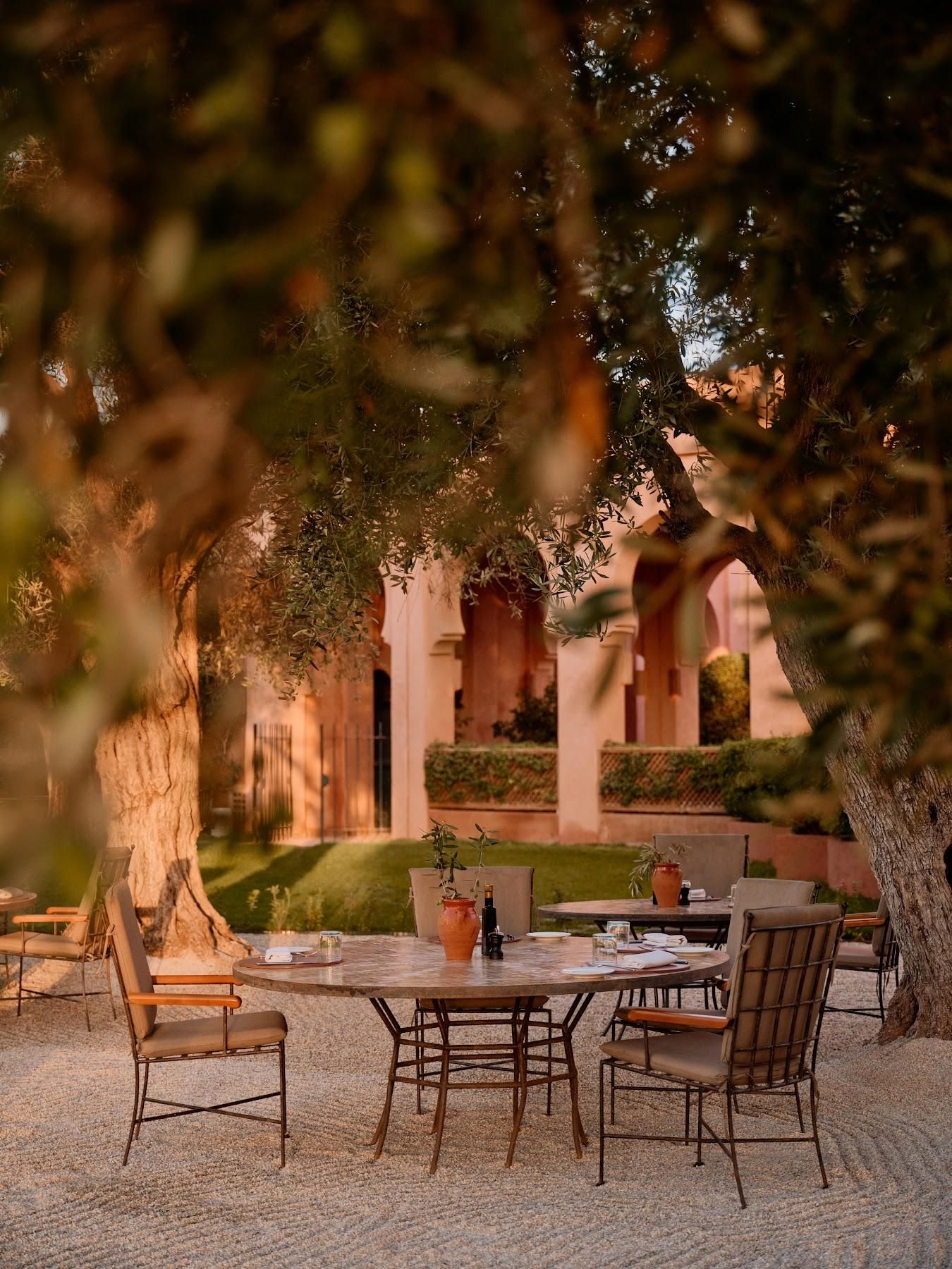 Pool Terrace & Olive Grove at Amanjena 4