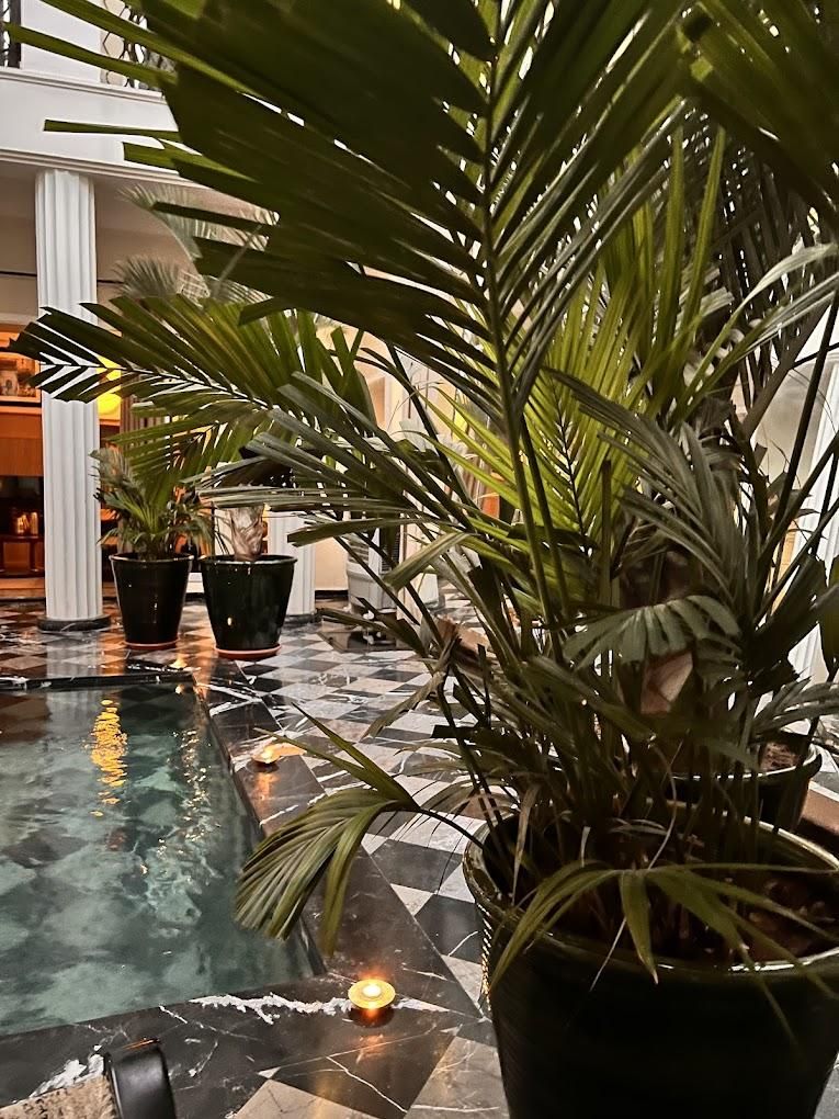 Les Bains Du Lotus 8