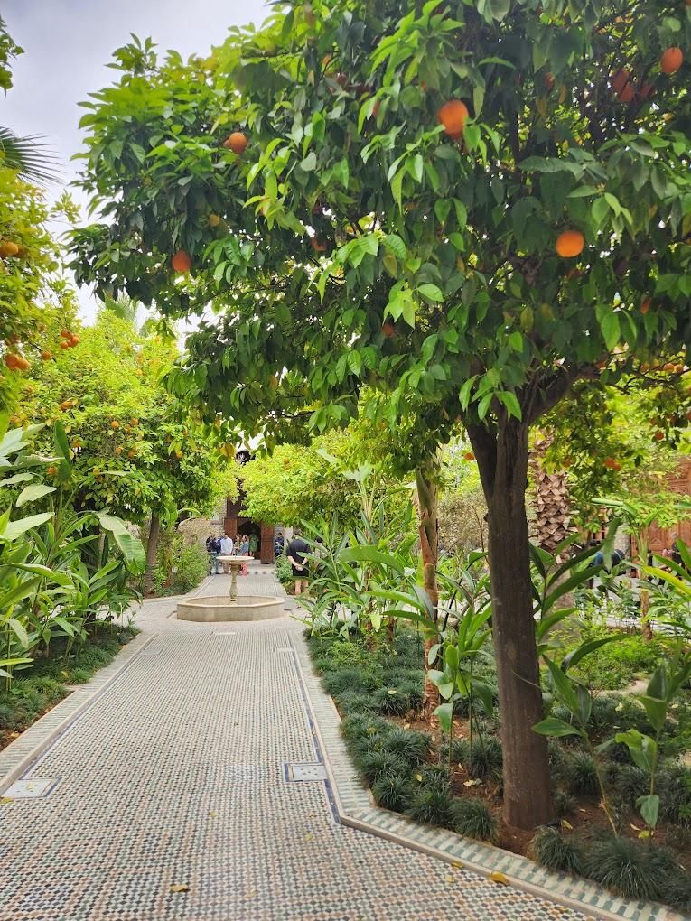 Dar El Bacha Museum 10