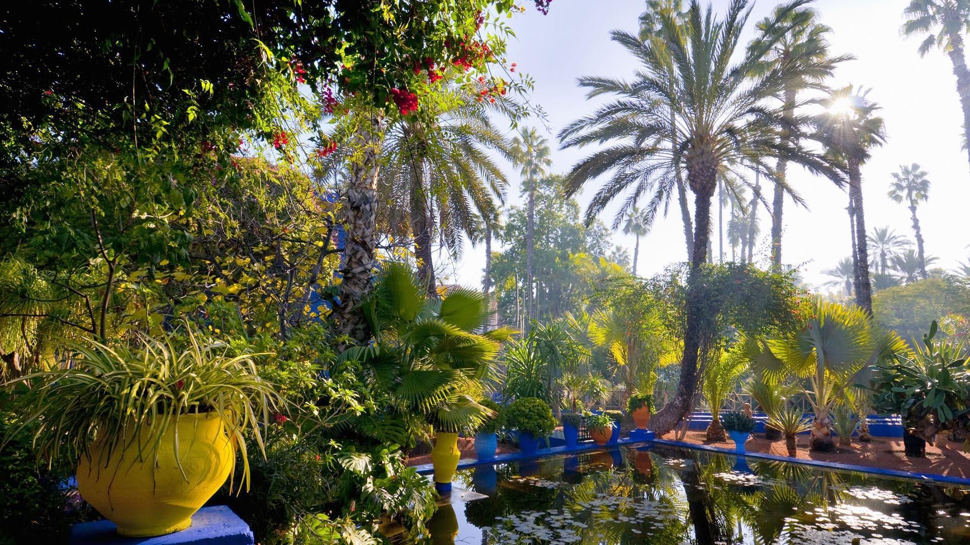 Jardin Majorelle 6