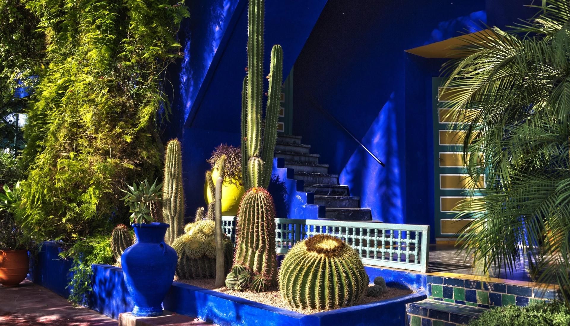 Jardin Majorelle 9