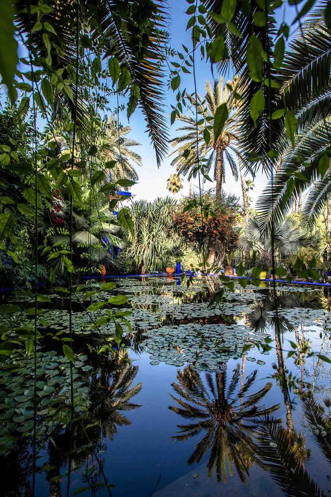 Jardin Majorelle 10