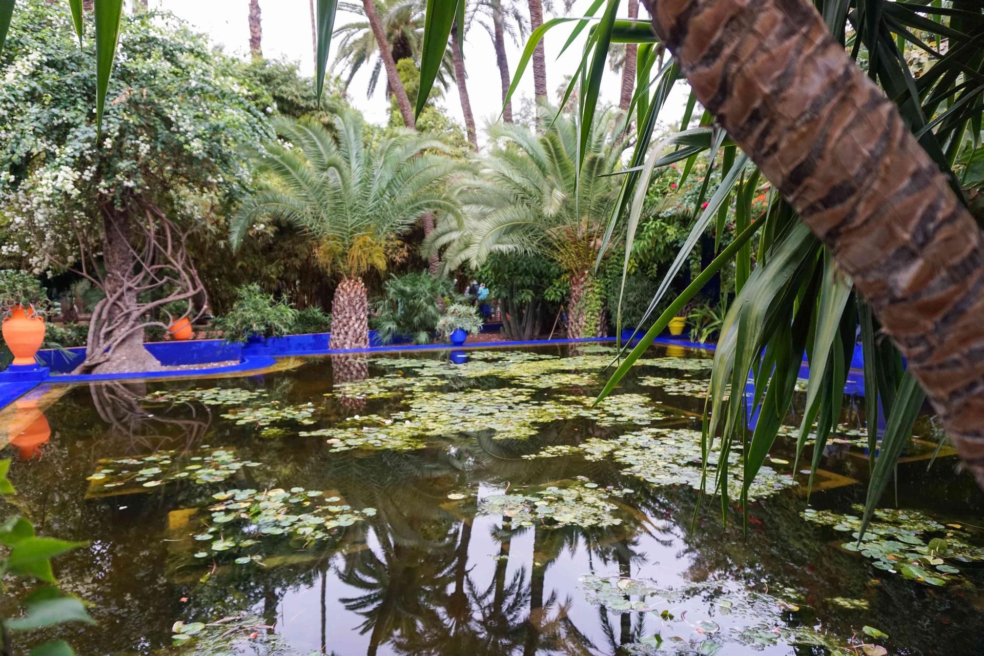 Jardin Majorelle 13