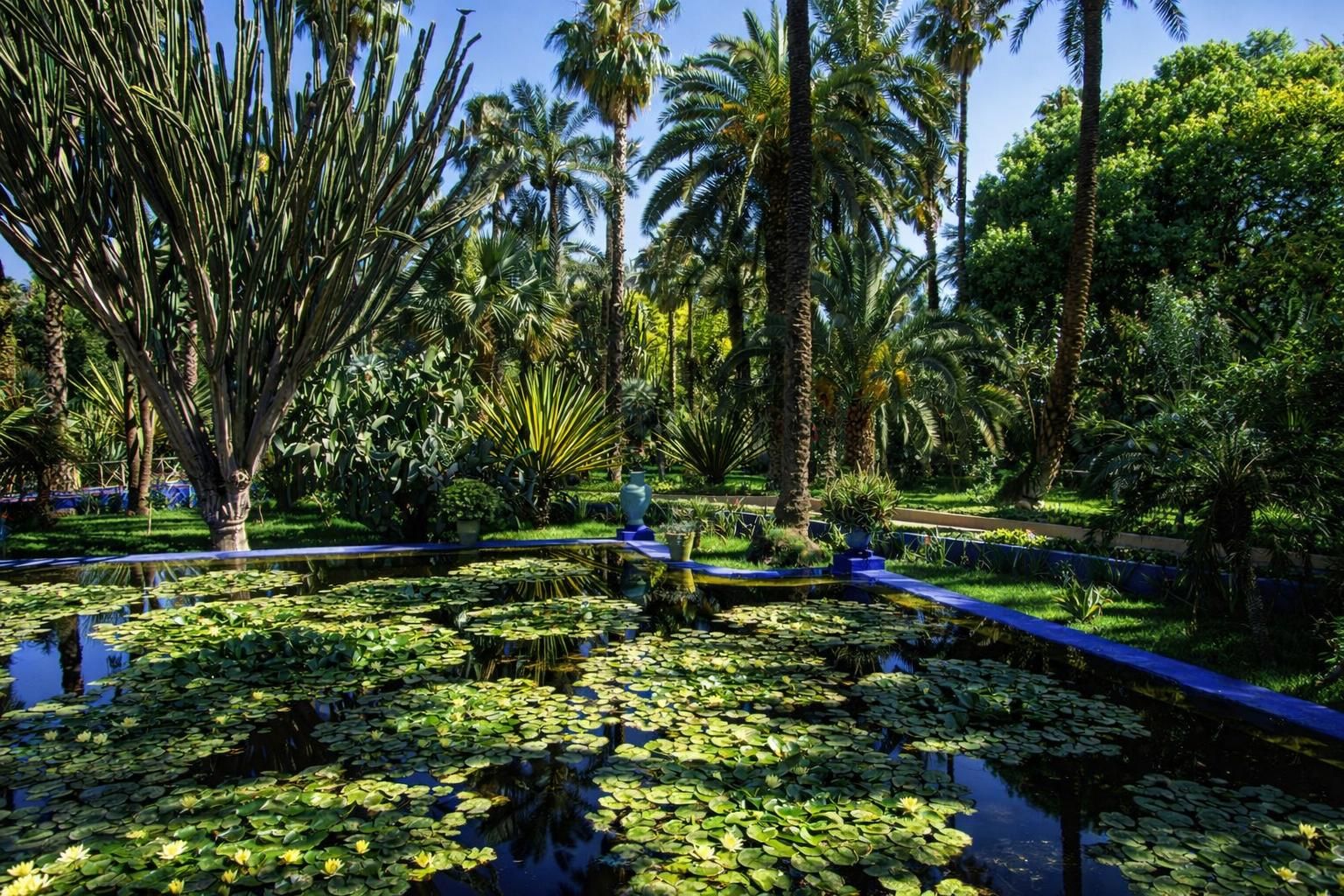 Jardin Majorelle 14