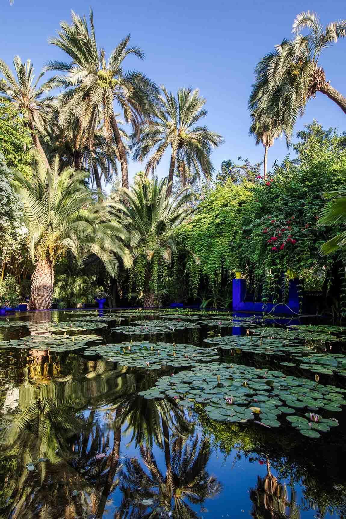 Jardin Majorelle 16