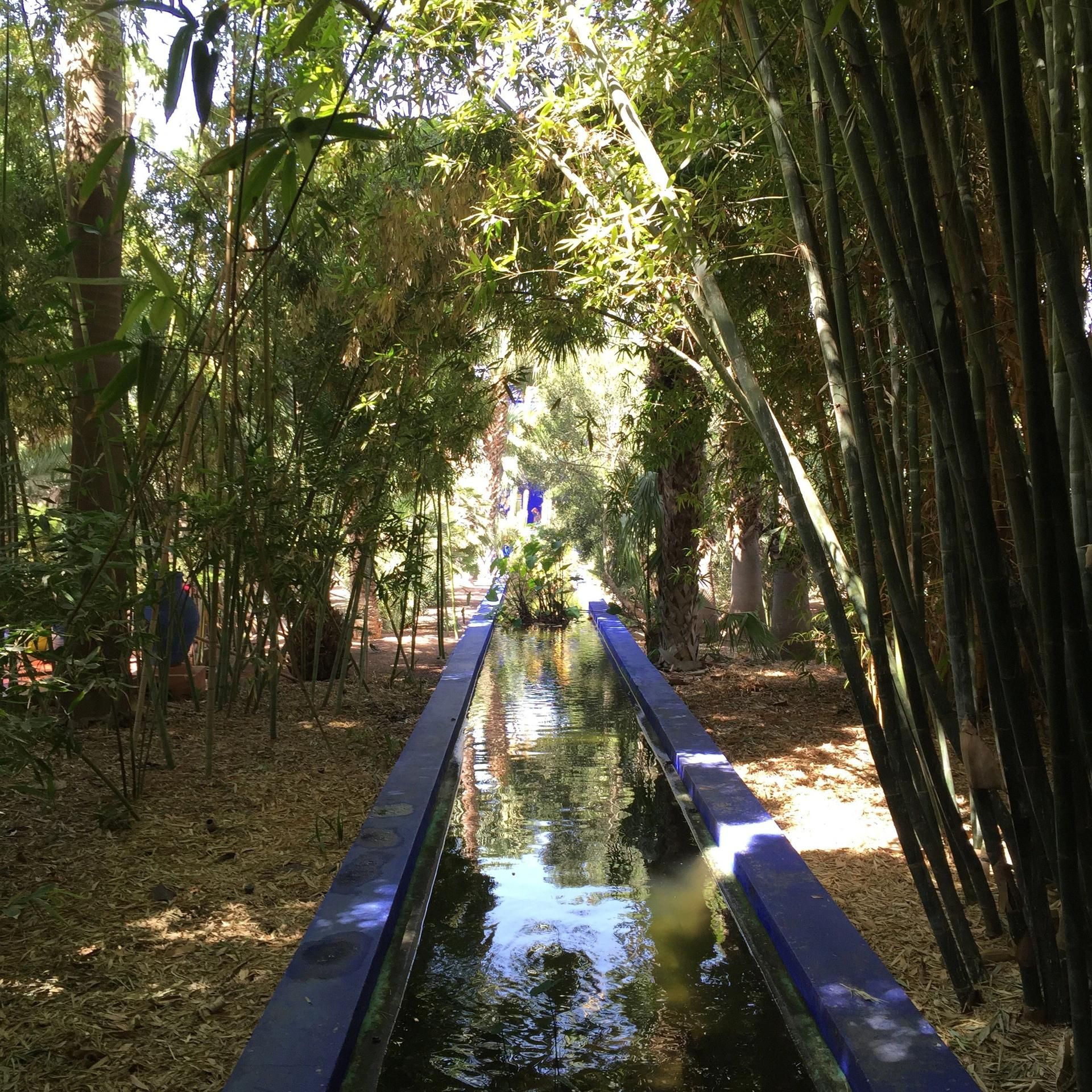 Jardin Majorelle 24