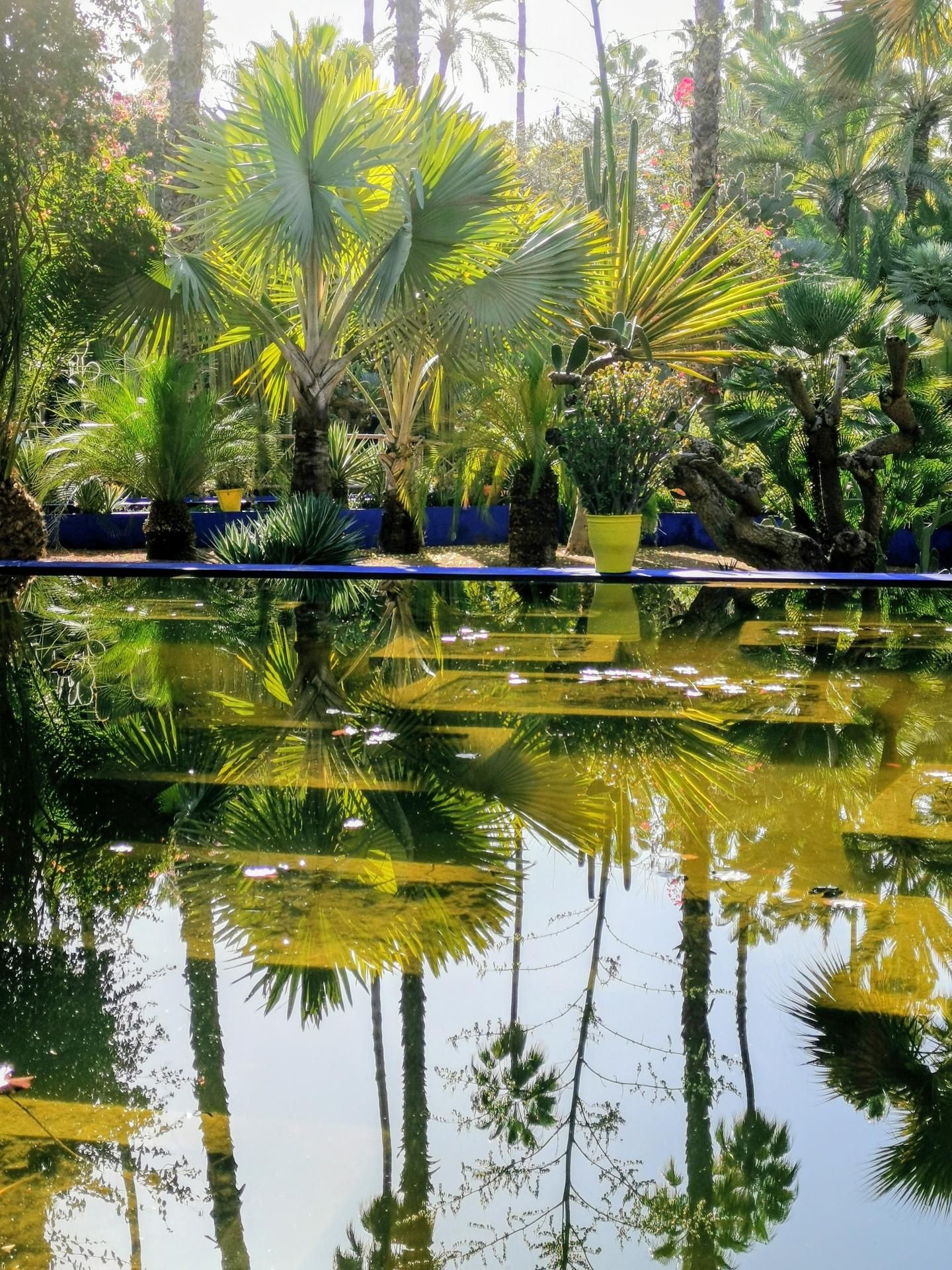 Jardin Majorelle 25