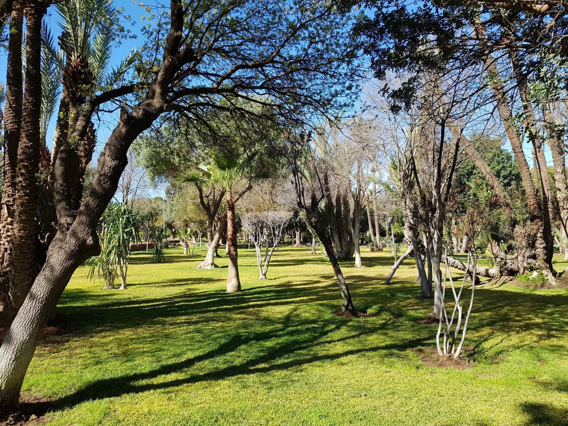 Park Arsat Moulay Abdesalam 6