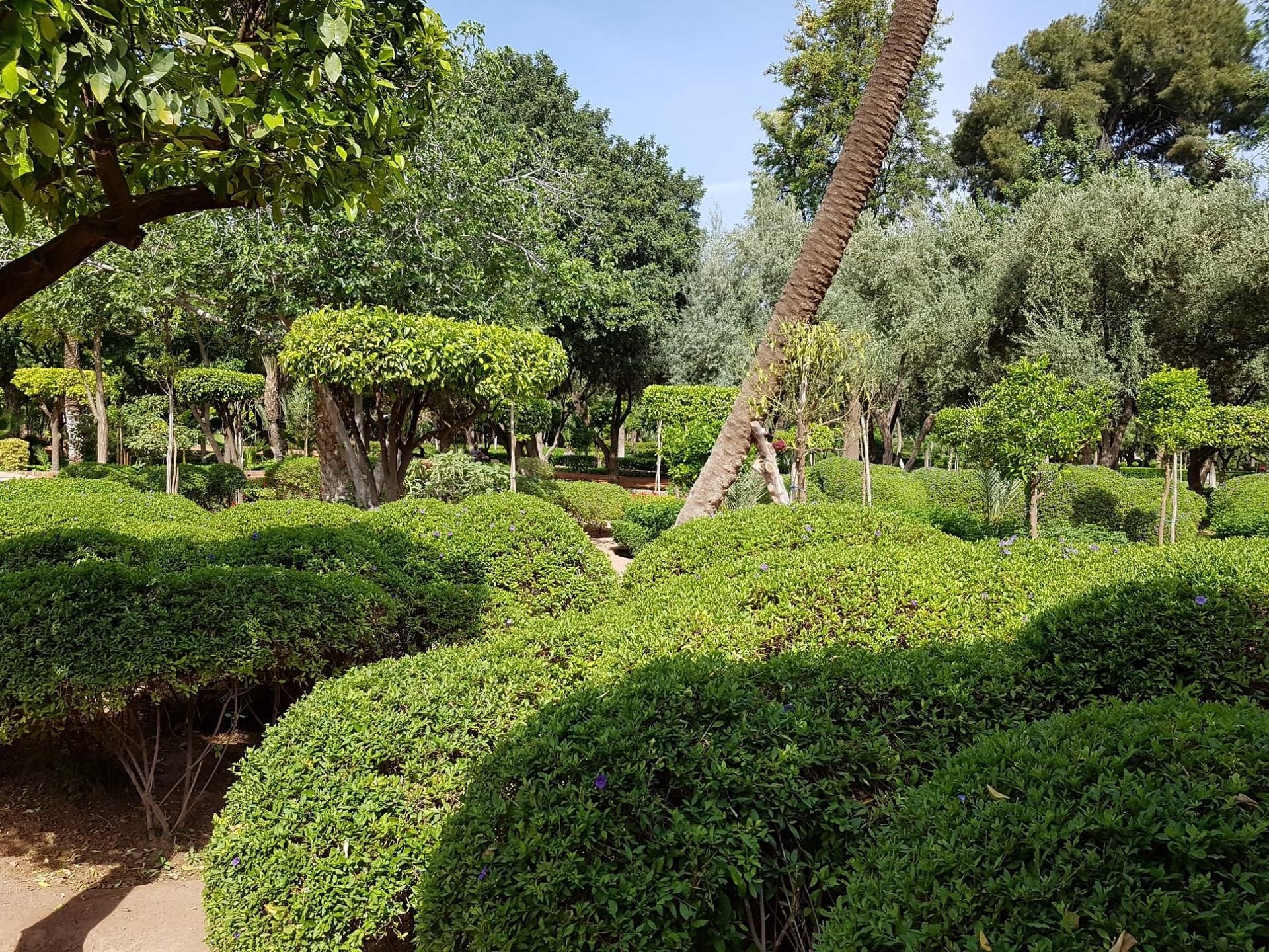 Park Arsat Moulay Abdesalam 13