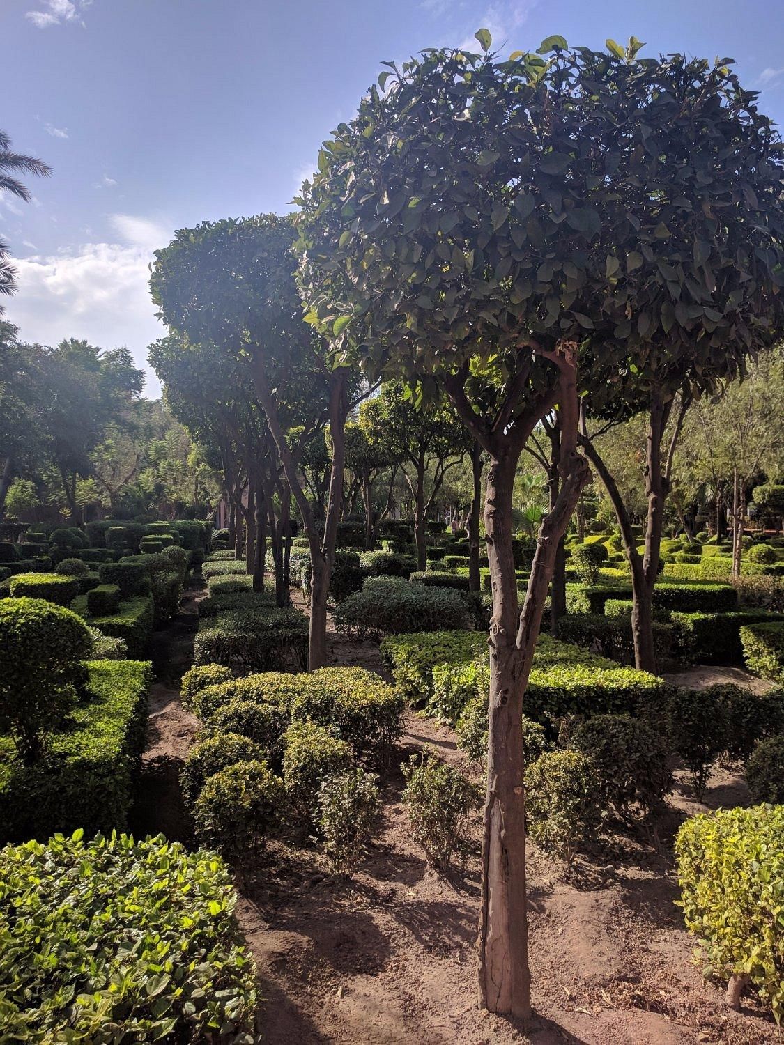 Park Arsat Moulay Abdesalam 15